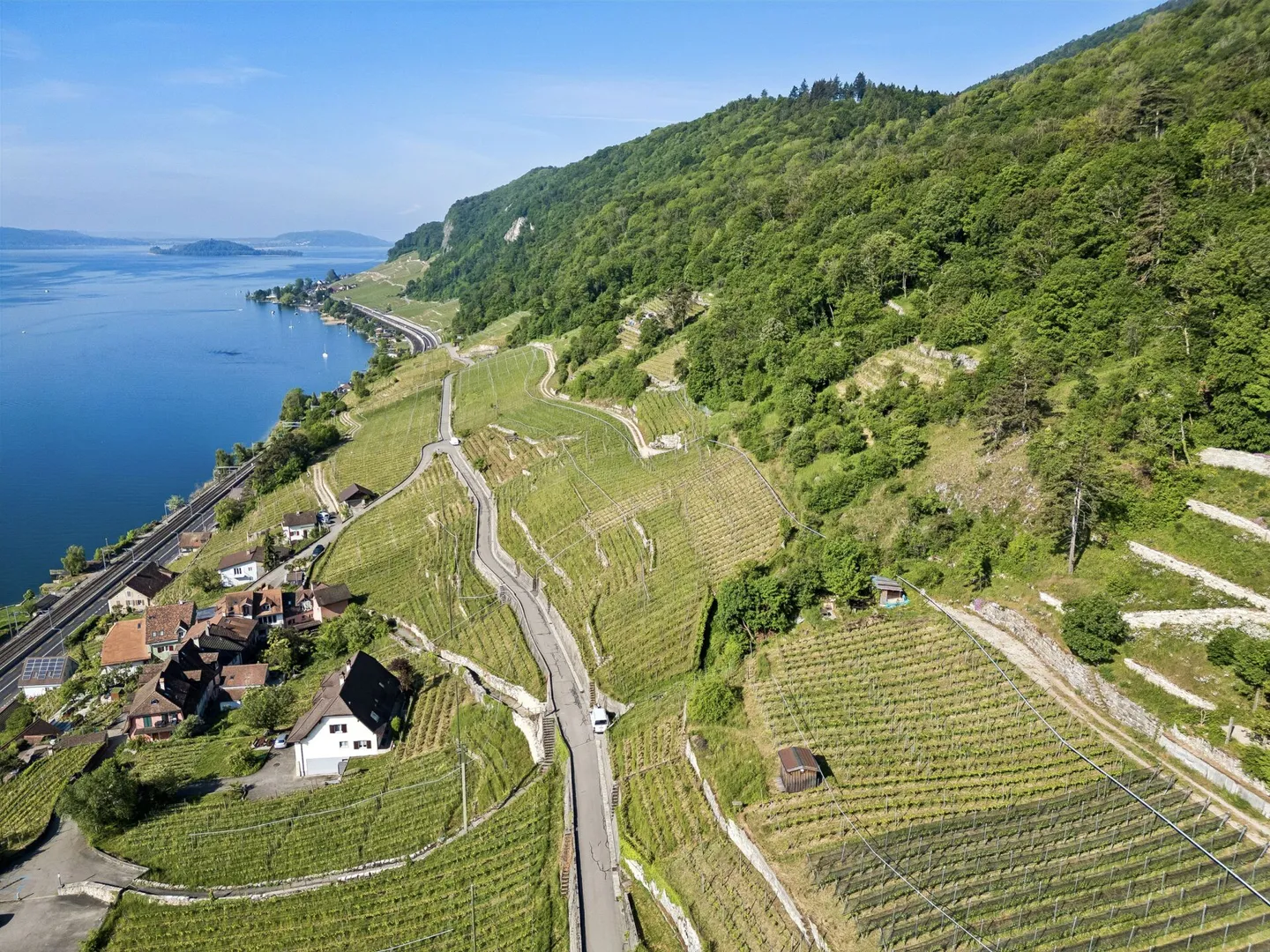 Propriété historique avec vignes et vue imprenable sur le lac - Photo 13 sur 13