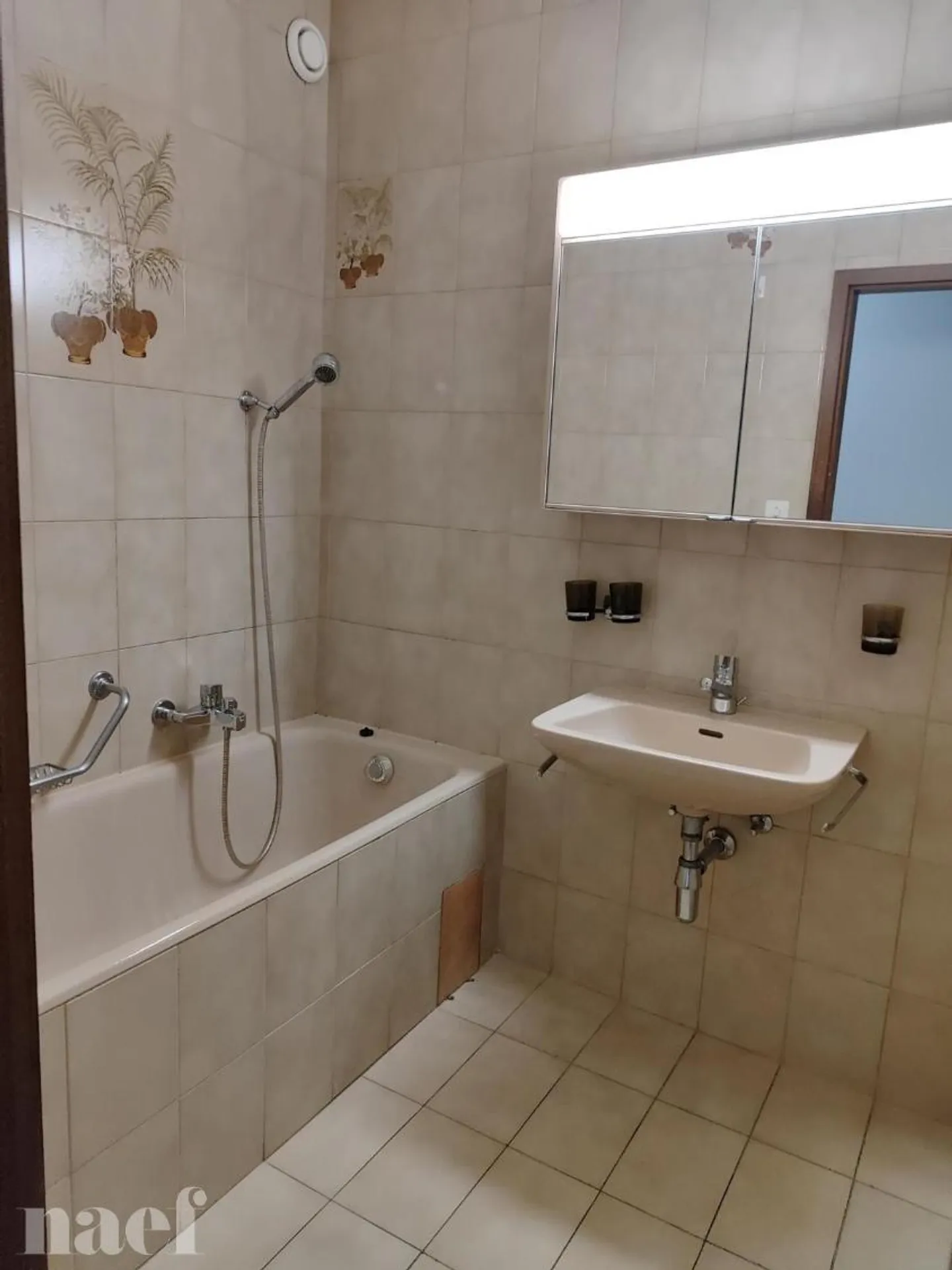 Schöne Wohnung mit 4 Zimmern - 3. Etage und Eaux-Vives - Foto 3 von 13