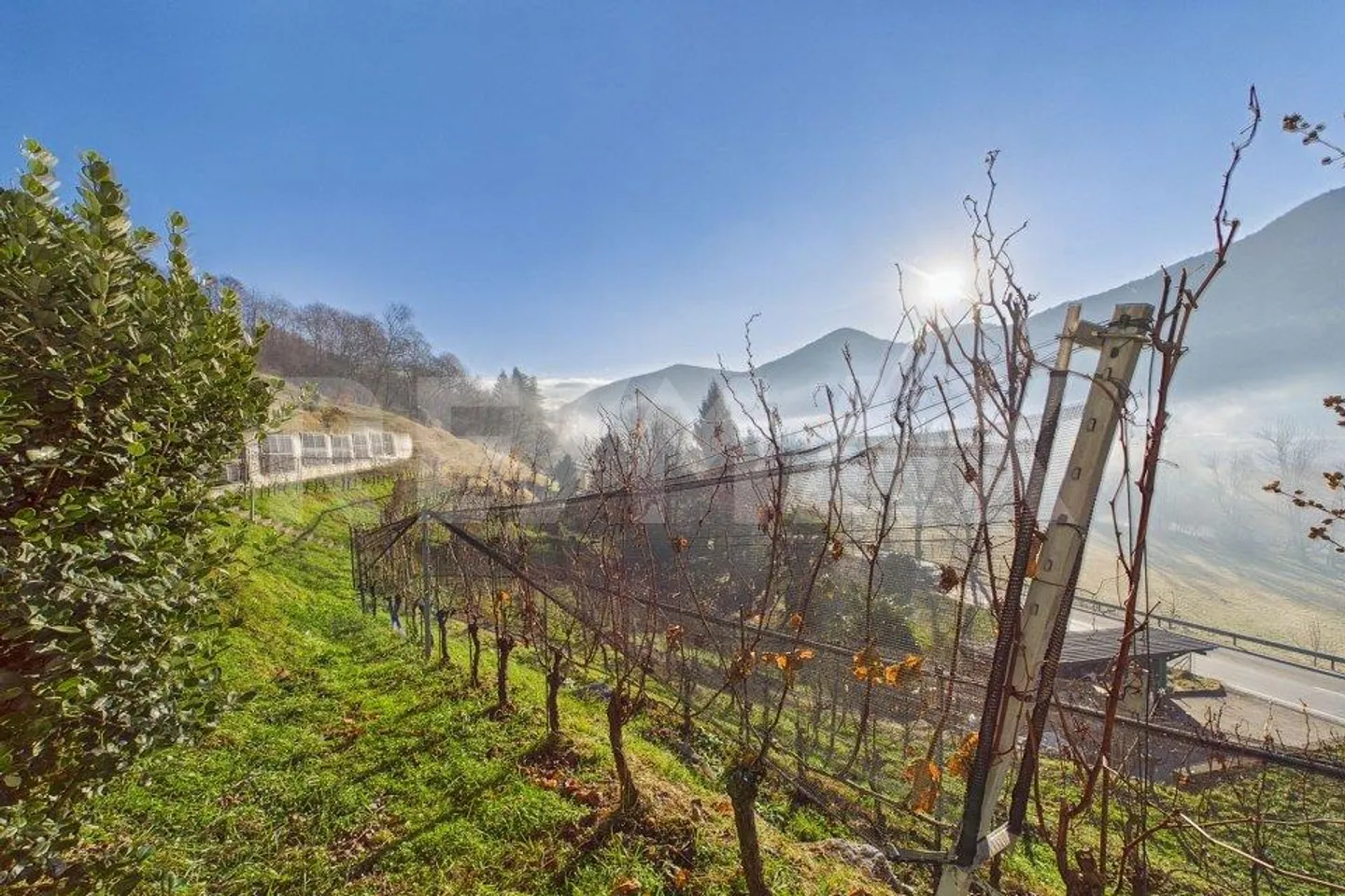 Terrain à bâtir de 1'708 m² avec vignoble Tresa (Ponte Cremenaga) - Photo 1 sur 8