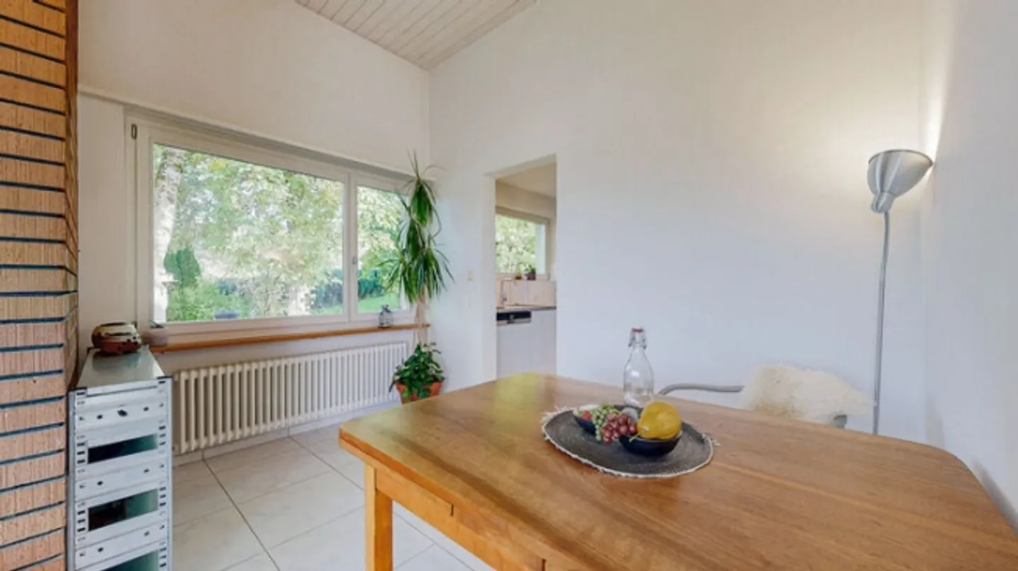 BIJOU SUR PRESQUE 2'000 m² DE TERRAIN - Photo 3 sur 8