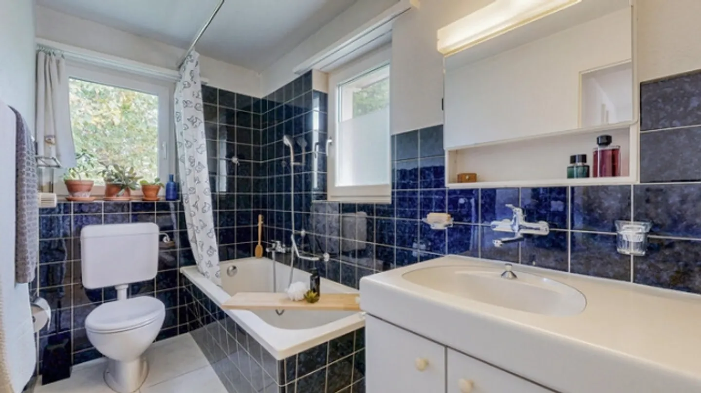 BIJOU SUR PRESQUE 2'000 m² DE TERRAIN - Photo 7 sur 8