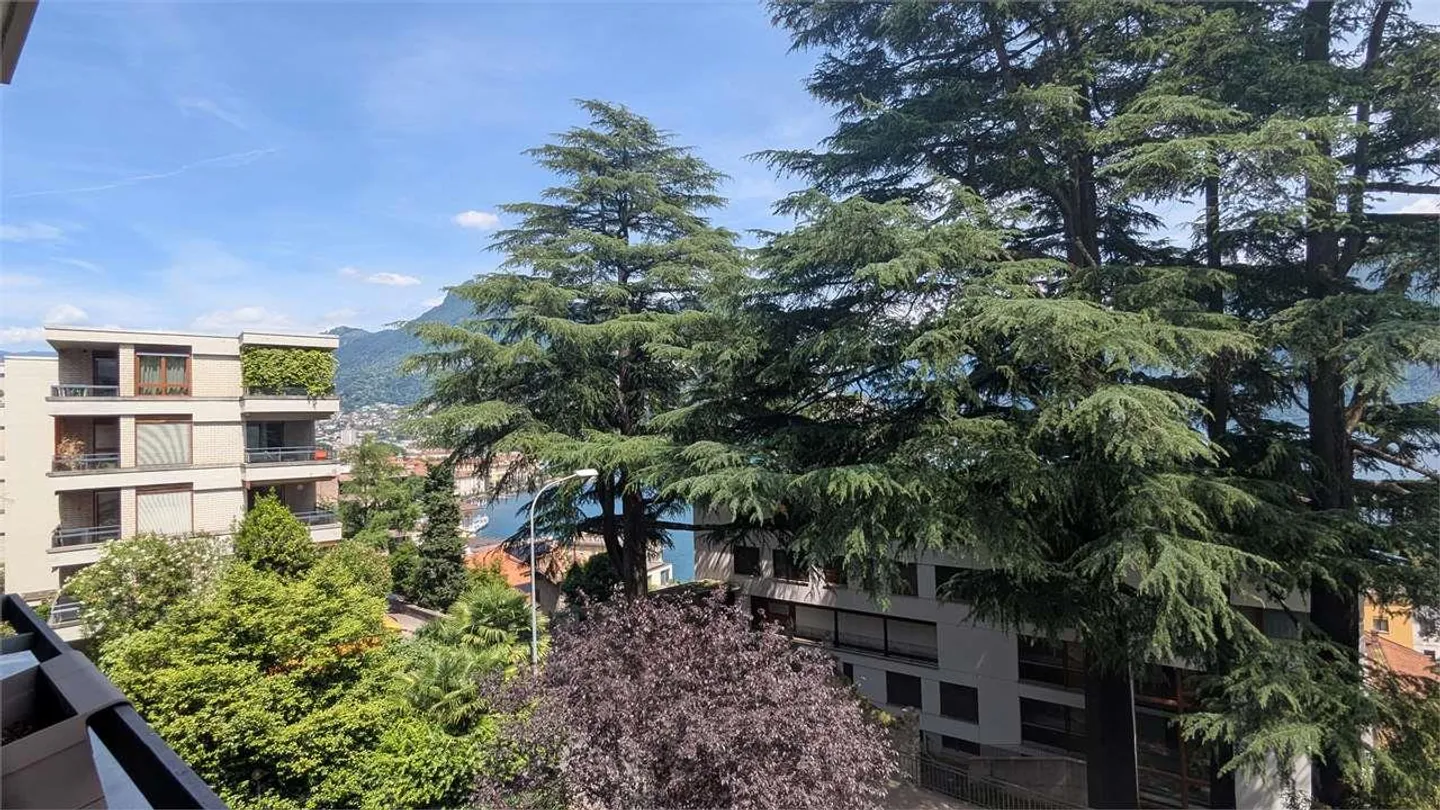 Lugano, magnificent 4.5-room apartment with terrace and lake view - Photo 4 of 13