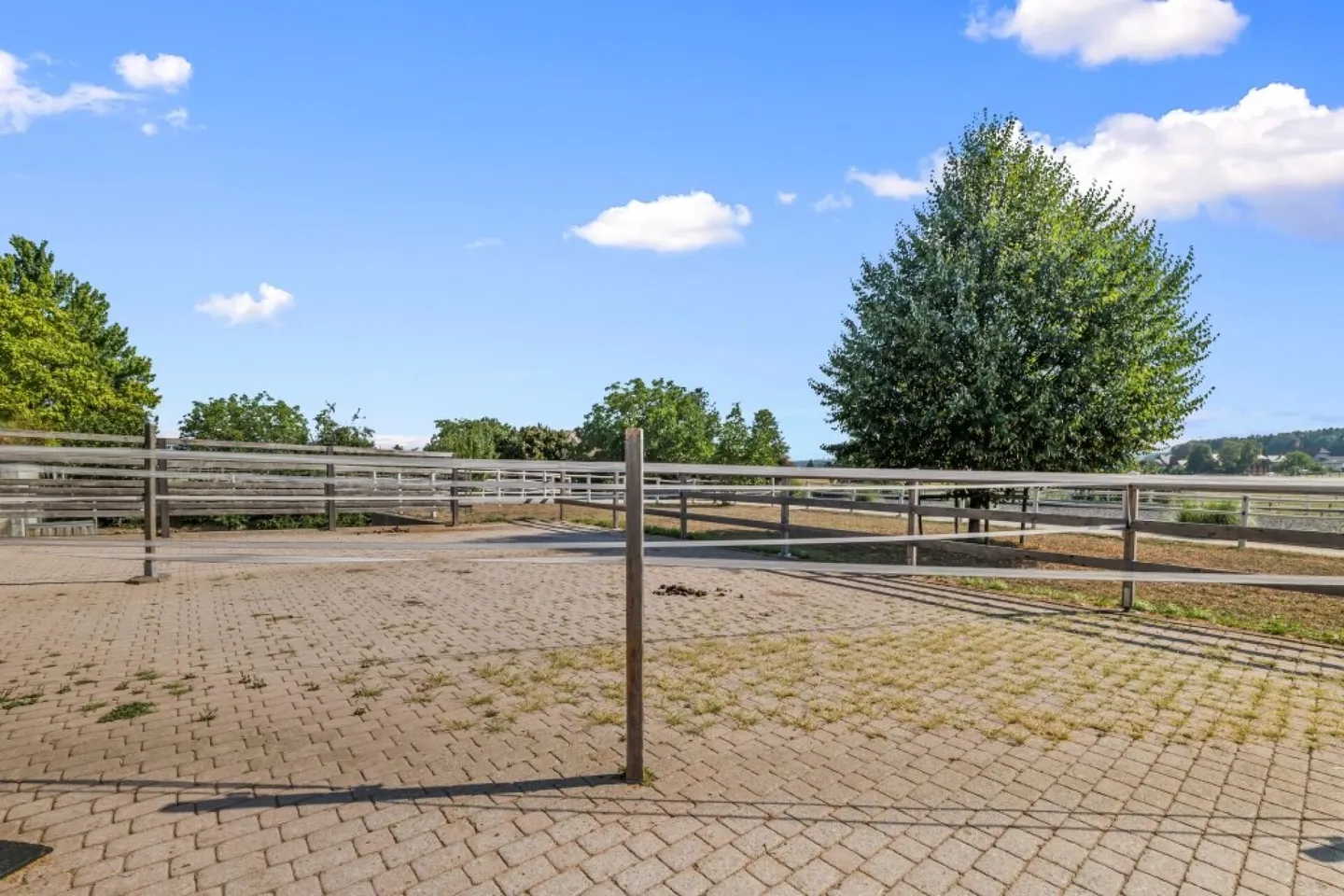 Nouveau ! Propriété équestre - une oasis pour l'homme et le cheval - Photo 54 sur 72