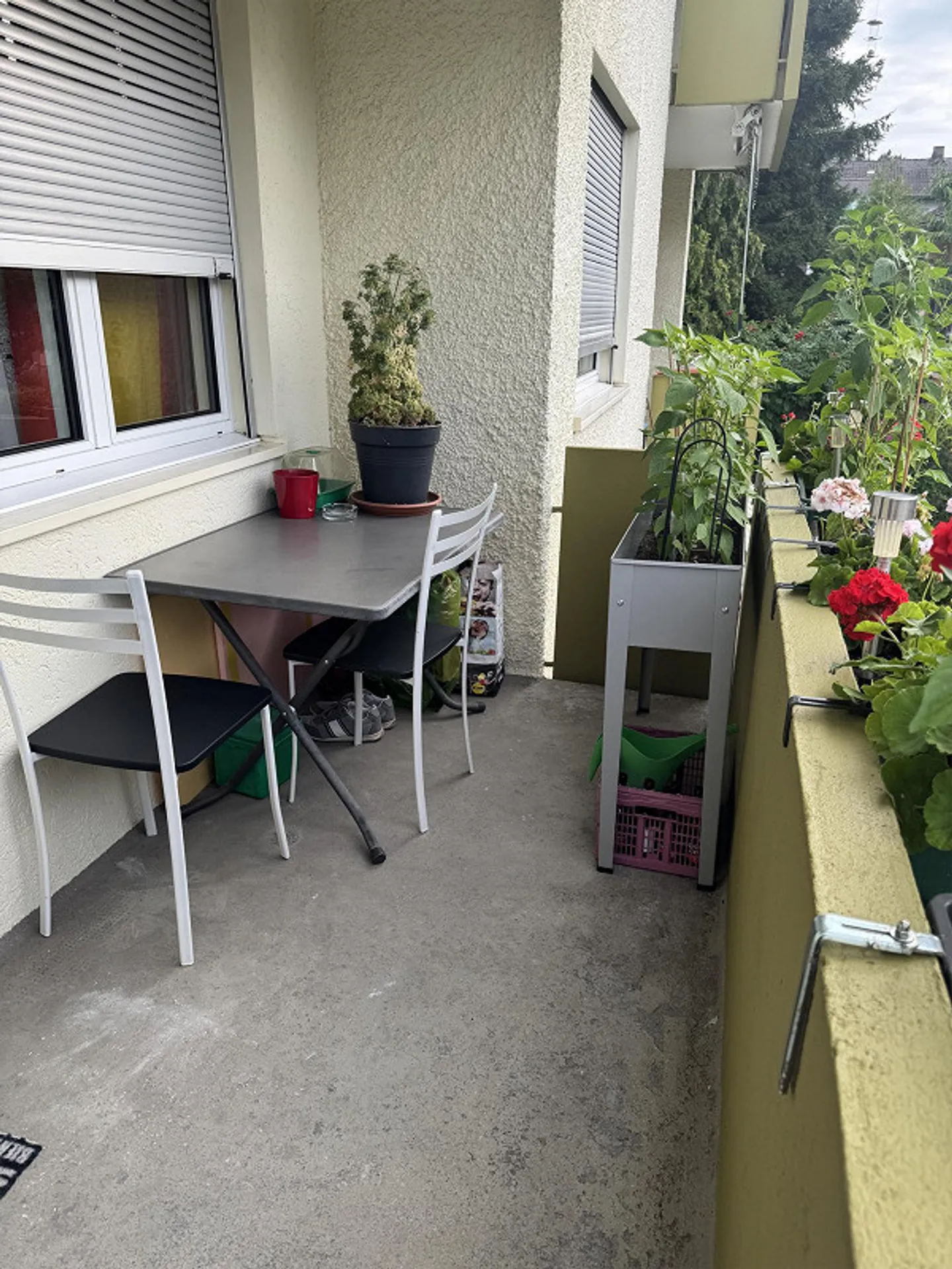 Hier fühlt man sich Zuhause | Zentrale Wohnlage nahe Bahnhof - Foto 5 von 6