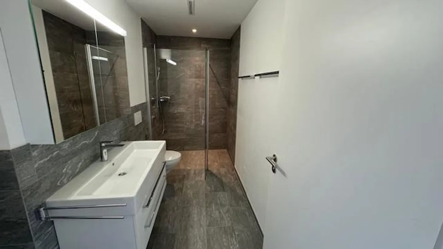 Freshly renovated 1-room apartment for rent in Meggen - Photo 2 of 7