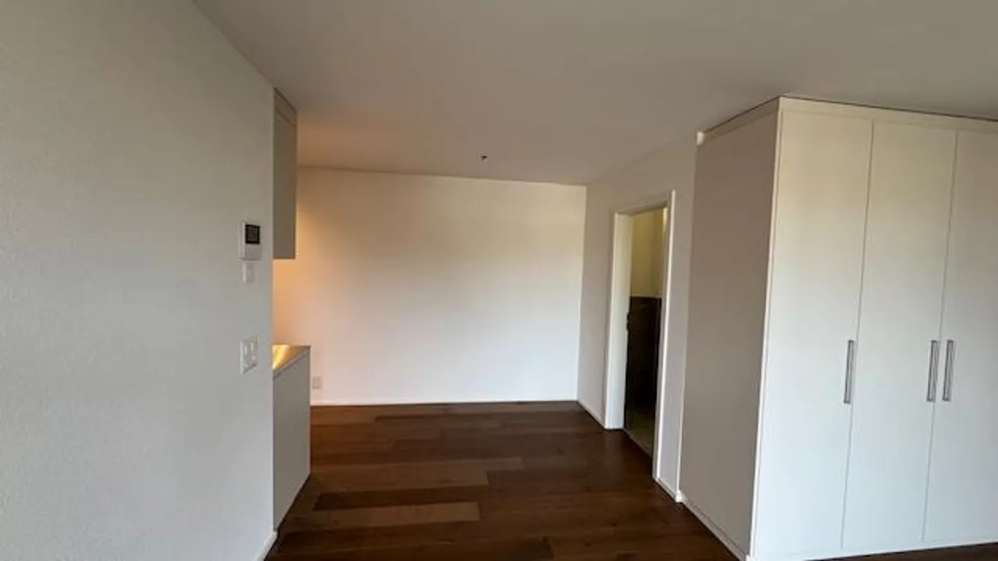 Freshly renovated 1-room apartment for rent in Meggen - Photo 5 of 7