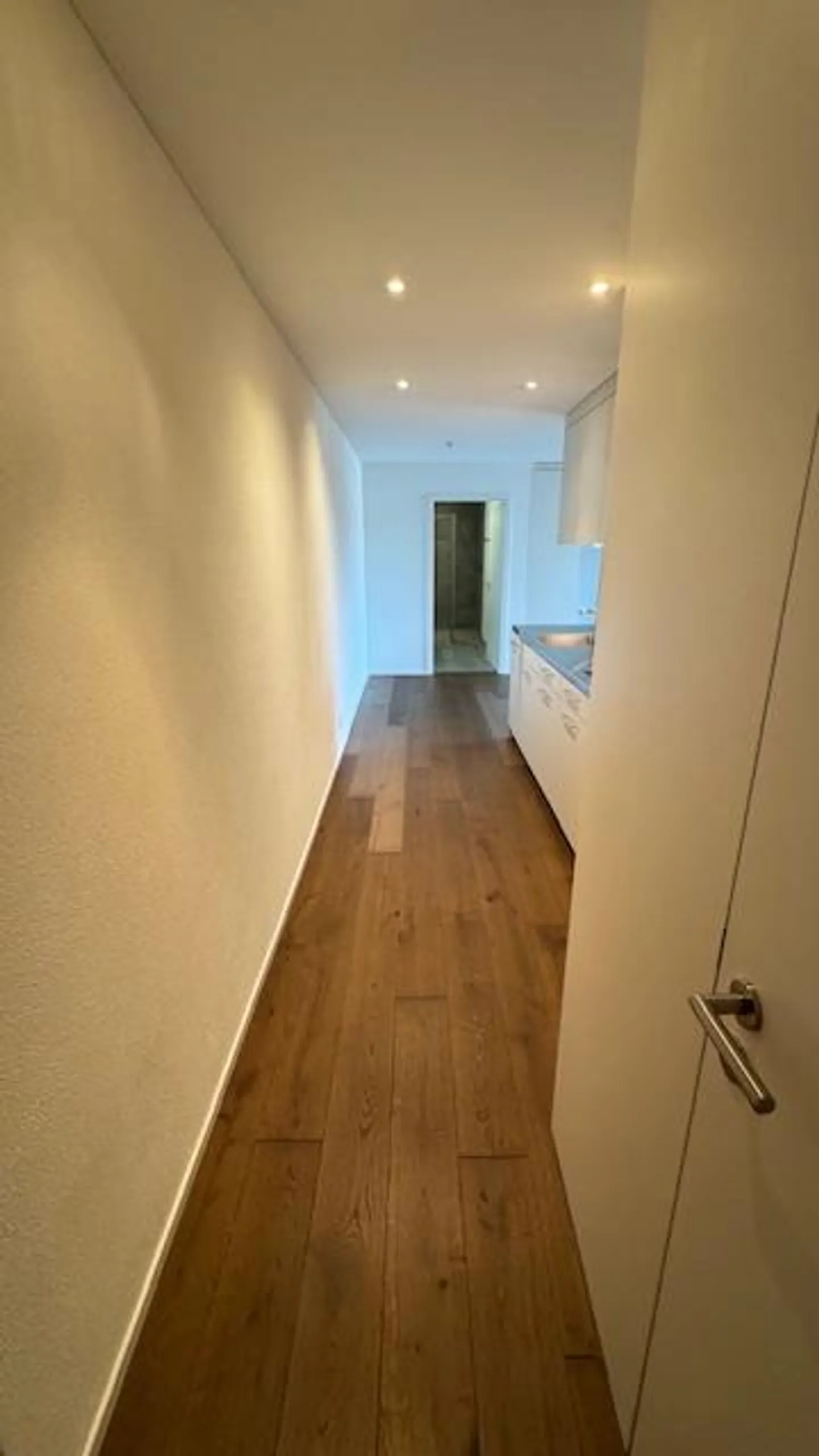 Freshly renovated 1-room apartment for rent in Meggen - Photo 6 of 7