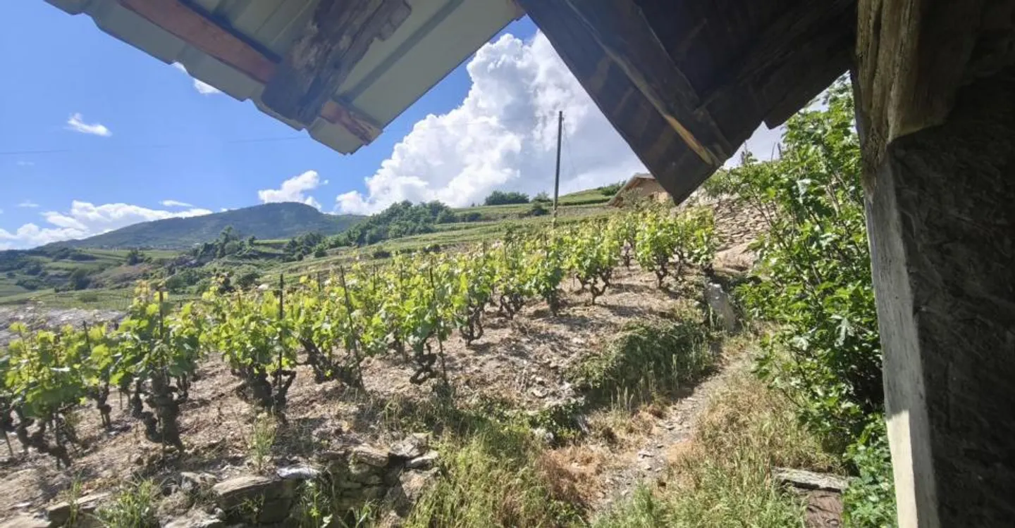 Opportunité de rénovation en Valais - Photo 2 sur 8