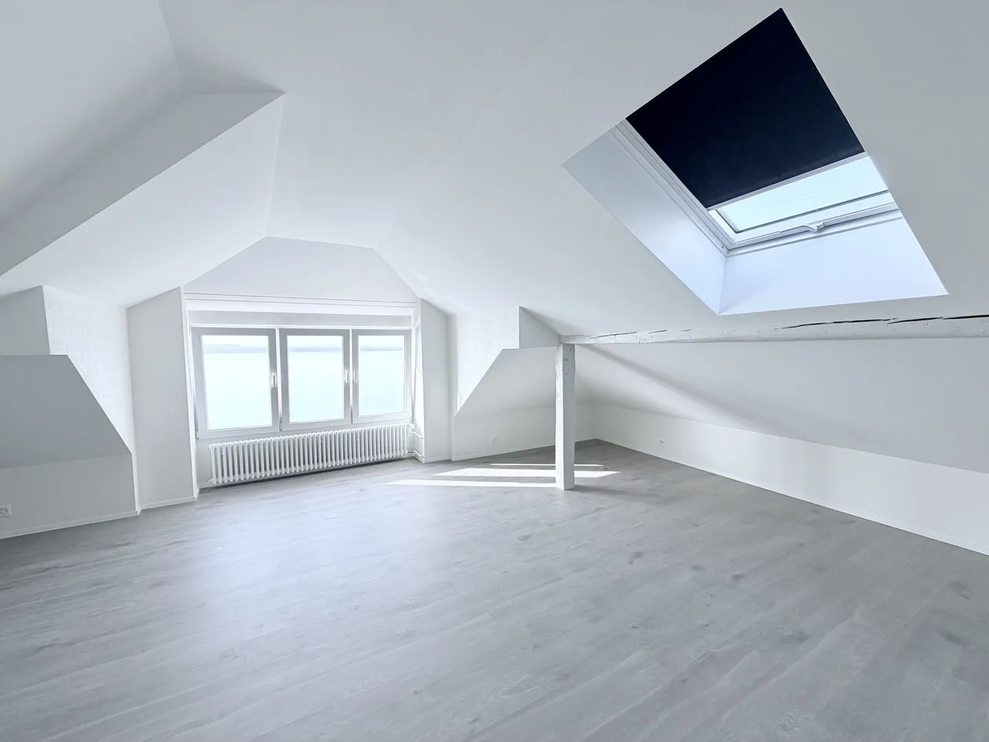 Renovated! 4.0 room duplex with lake view! - Photo 1 of 10