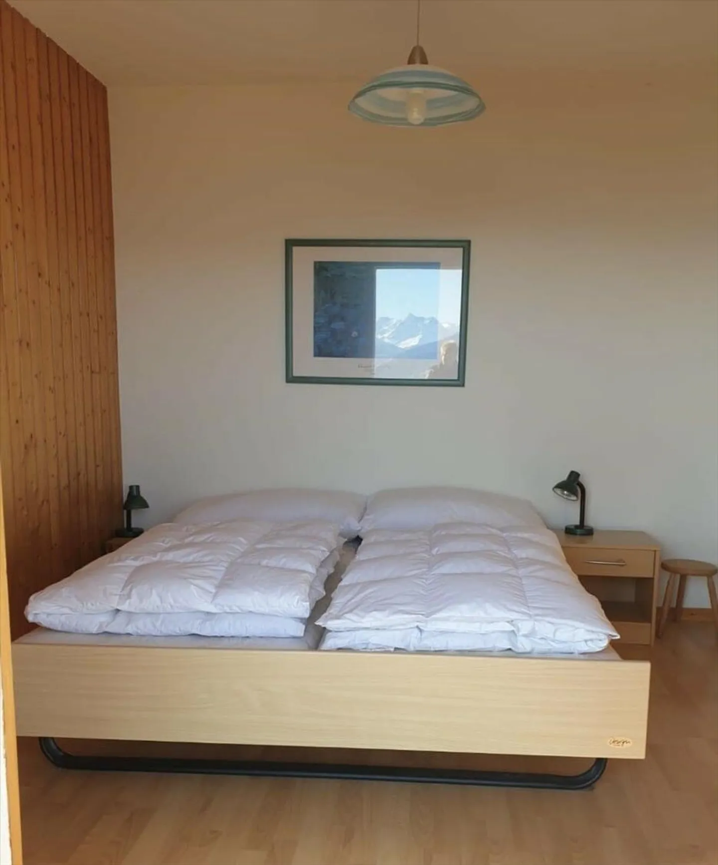 Vacation Rentals: Chalet View of the Alps - Photo 9 of 13