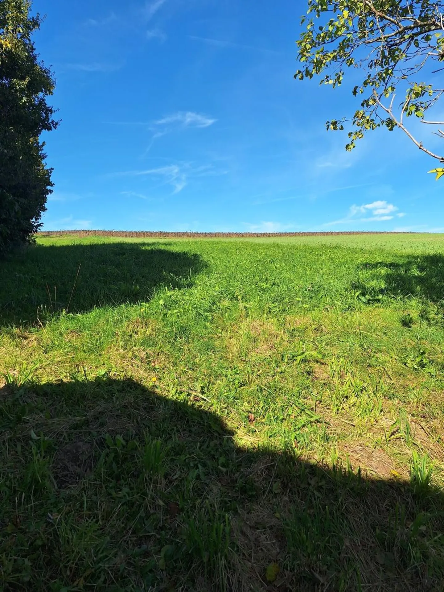 Building land in the countryside for a family home - Photo 1 of 3