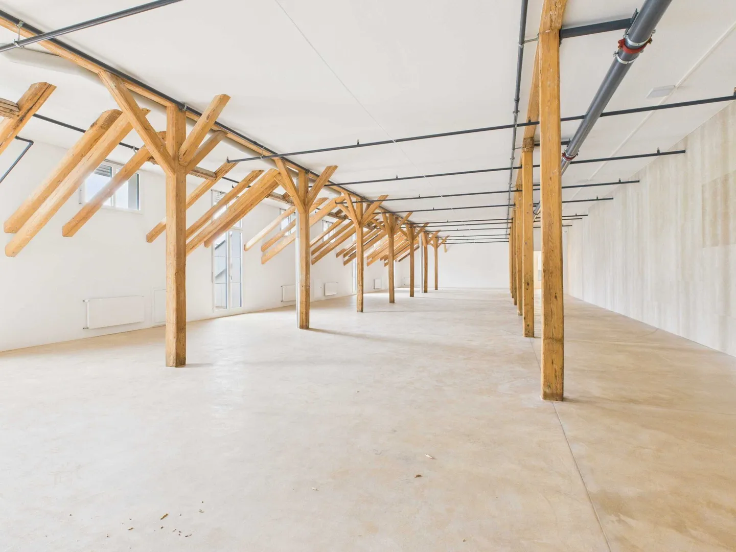 Flexible attic commercial space in modern commercial building with exclusive shell construction - Photo 3 of 6