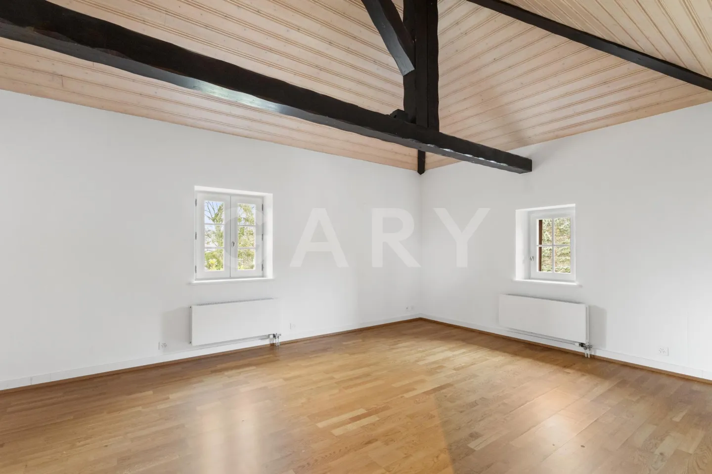 Historic Manor House in Grand-Saconnex - Photo 4 of 19