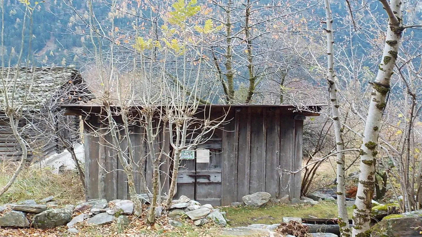 MONTACCIO - VAL BREGAGLIA TERRENO EDIFICABILE E STALLA ANTICA - Foto 3 di 4
