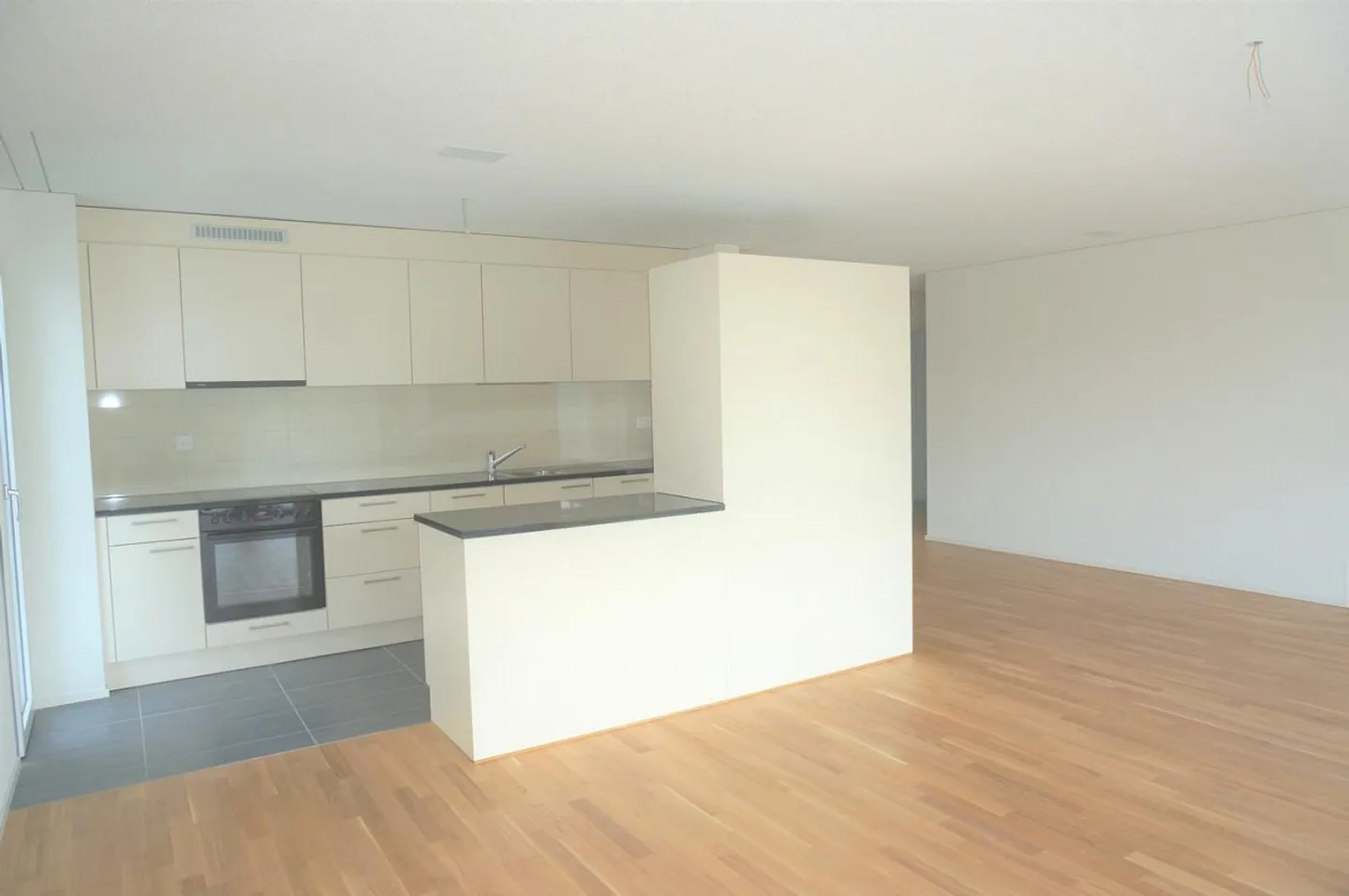 Sunny and very large 4.5-room apartment with 15m2 balcony - Photo 2 of 12