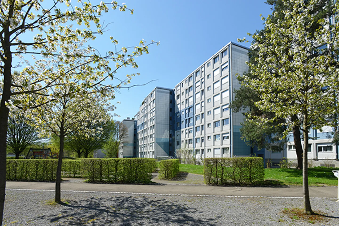 Moderne Wohnung nahe Greifensee - Foto 2 von 9