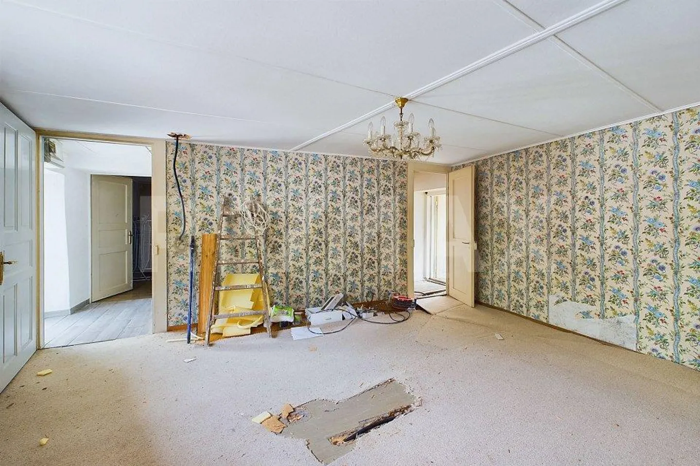 Bright Detached House with Approved Construction Project - Photo 8 of 13