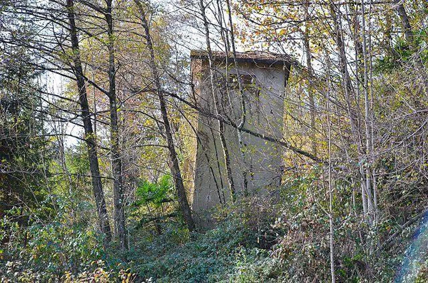 «Haus mit viel Umschwung im Malcantone / Casa immersa nel verde con grande terreno nel Malcantone» - Foto 12 di 26