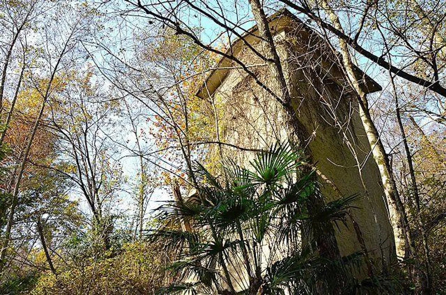 «Haus mit viel Umschwung im Malcantone / Casa immersa nel verde con grande terreno nel Malcantone» - Foto 13 di 26