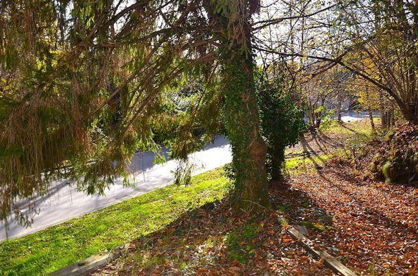 «Haus mit viel Umschwung im Malcantone / Casa immersa nel verde con grande terreno nel Malcantone» - Foto 16 di 26