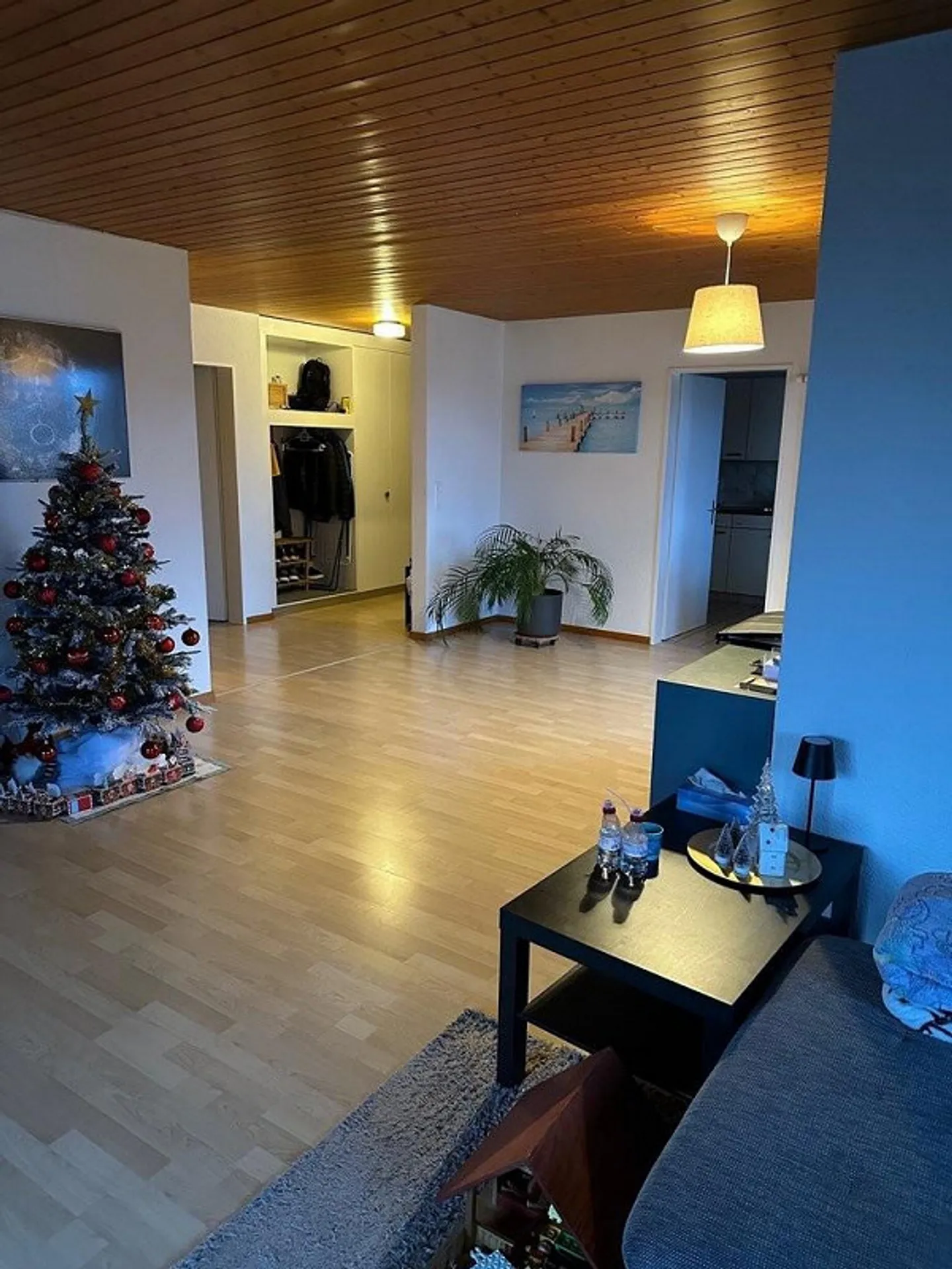 Large apartment seeks tenant! - Photo 3 of 9