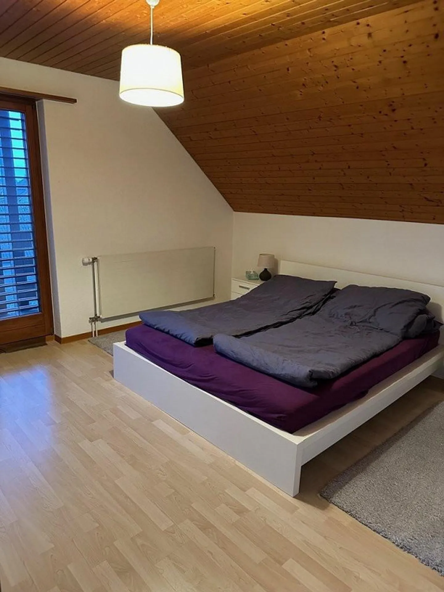 Large apartment seeks tenant! - Photo 4 of 9