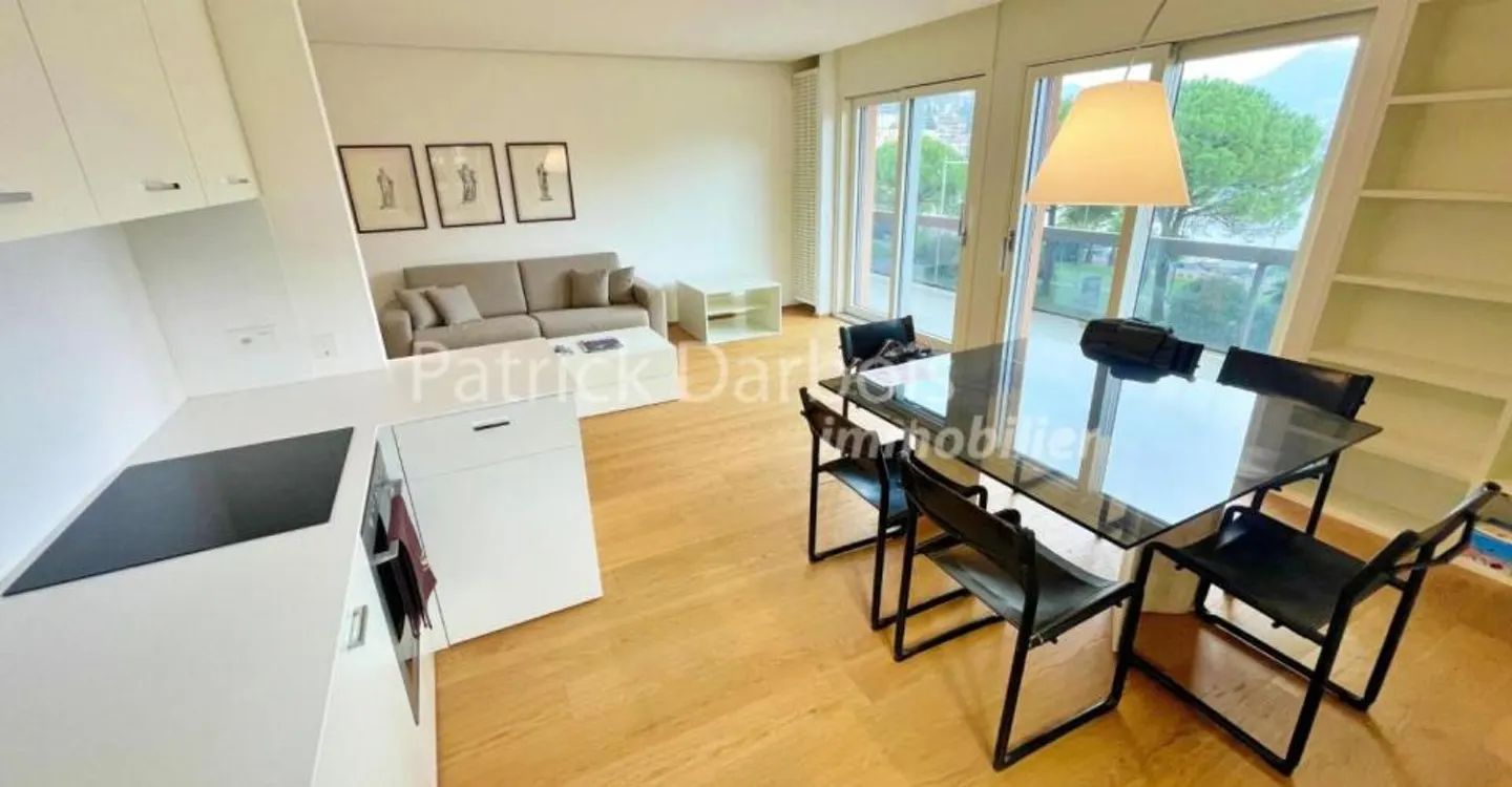 Appartement 3,5 pièces à Paradiso - Photo 2 sur 12