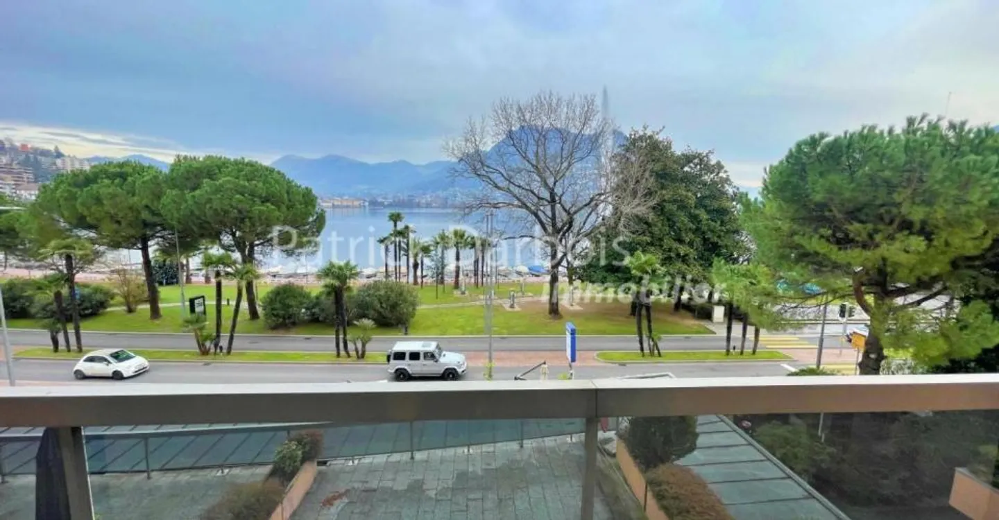 Appartement 3,5 pièces à Paradiso - Photo 8 sur 12