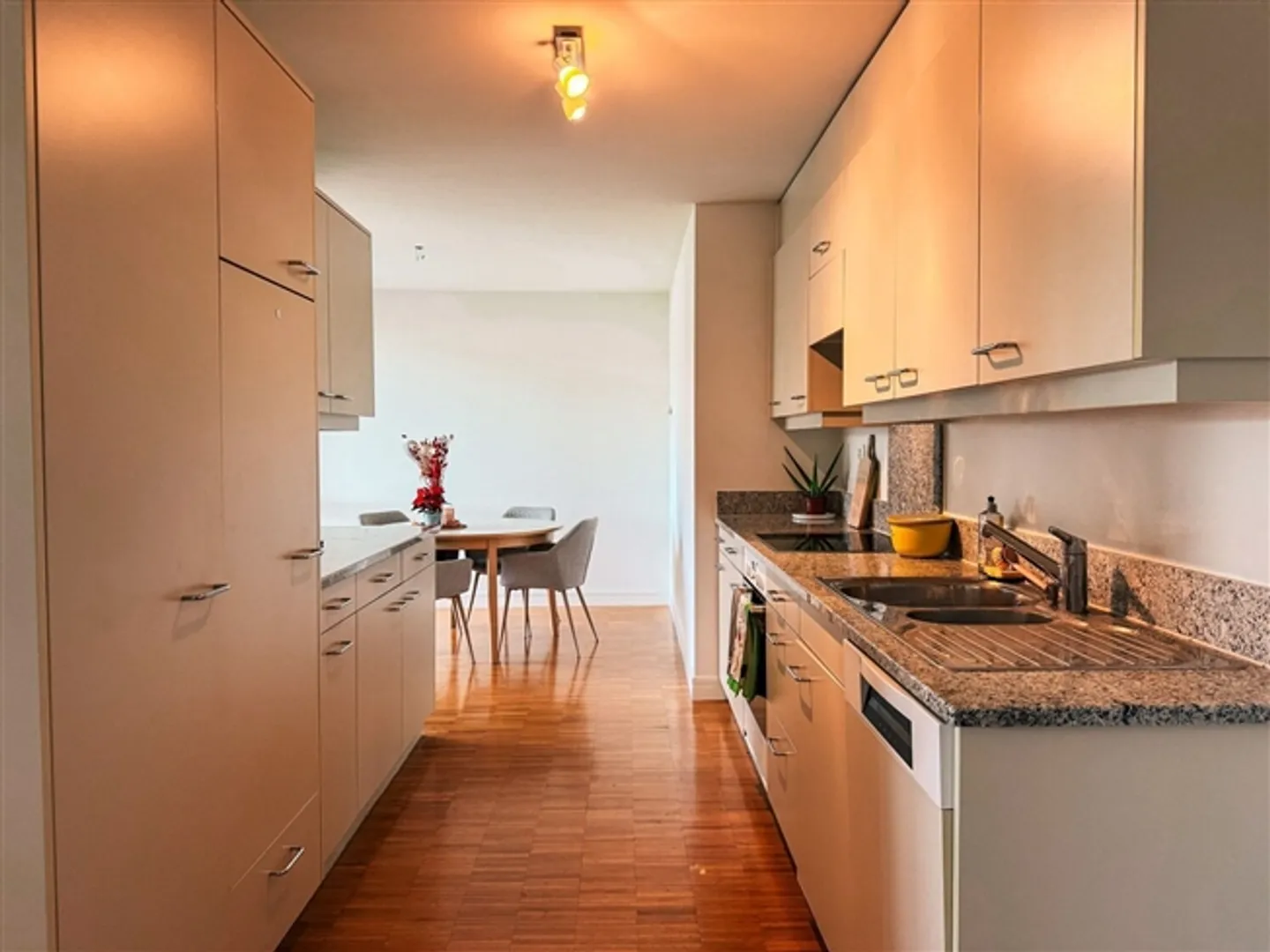 2½ ROOM APARTMENT IN KILCHBERG (ZH), FURNISHED, TEMPORARY - Photo 6 of 10