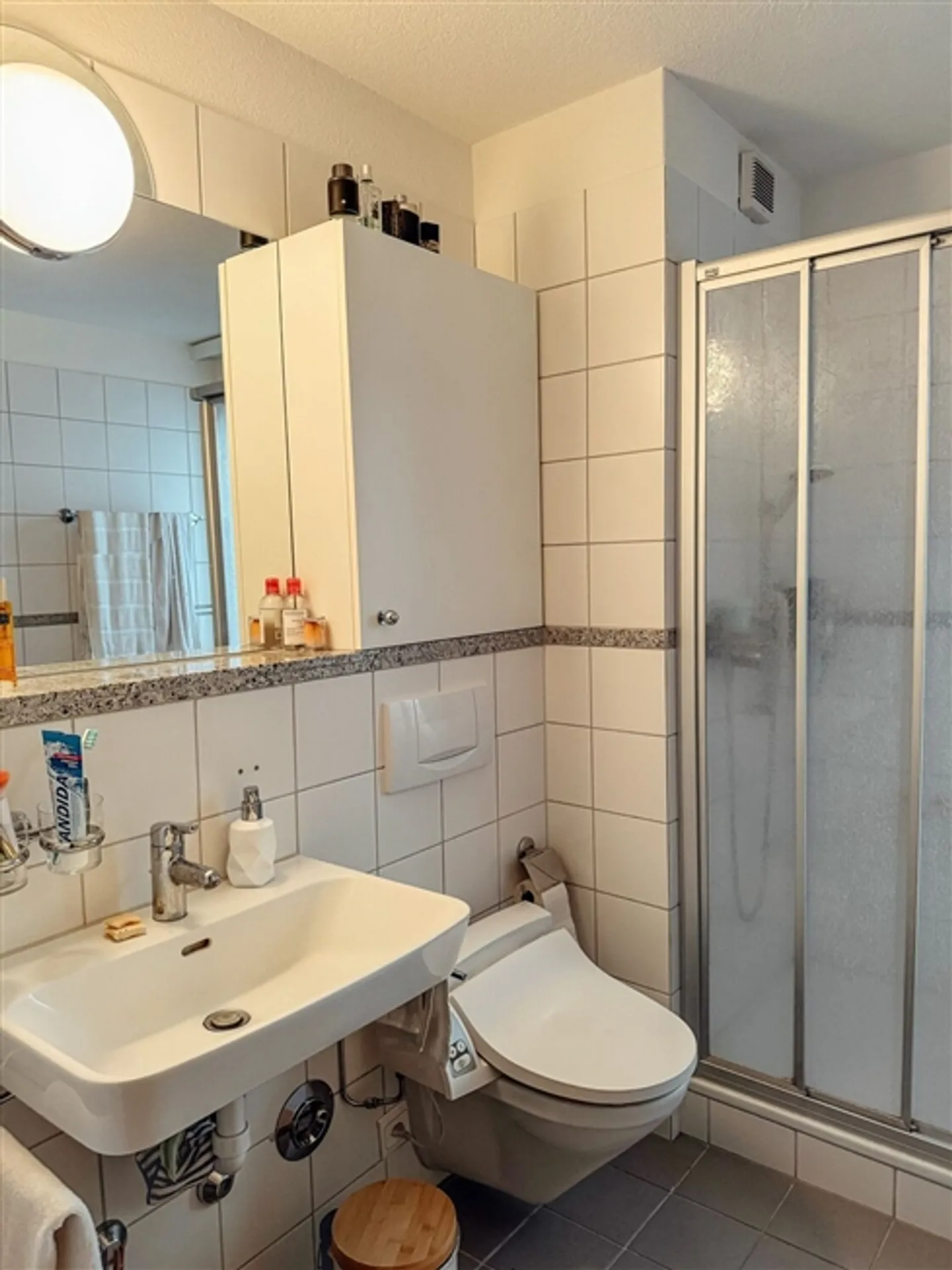 2½ ROOM APARTMENT IN KILCHBERG (ZH), FURNISHED, TEMPORARY - Photo 7 of 10