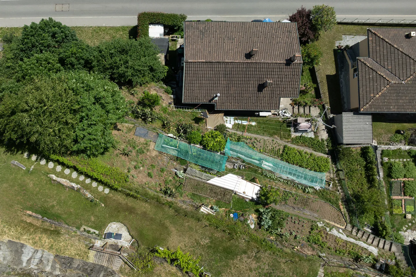 Terreno con vista su Bellinzona - Foto 2 di 5