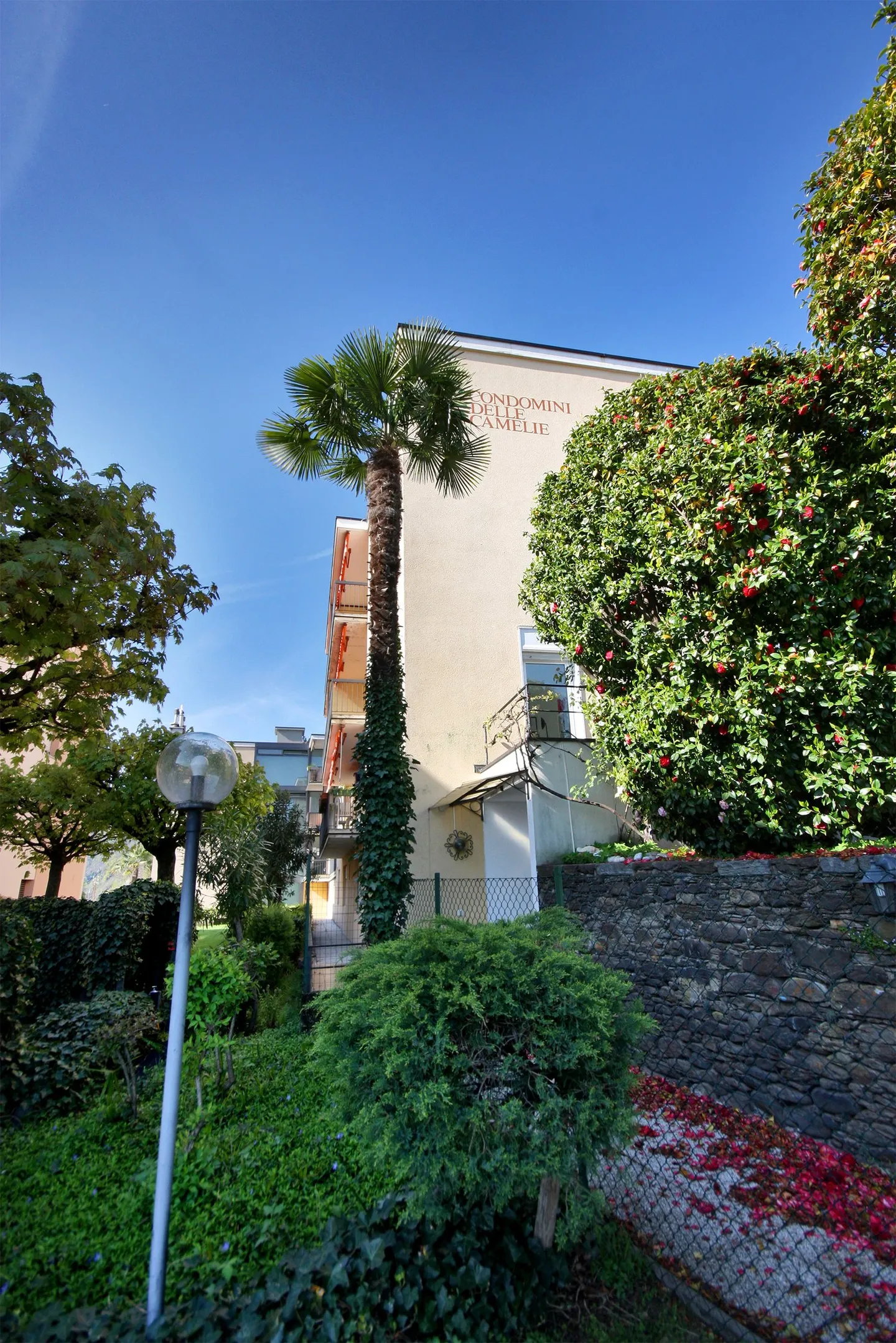 4.5 zum kleinen Preis - Foto 7 von 20