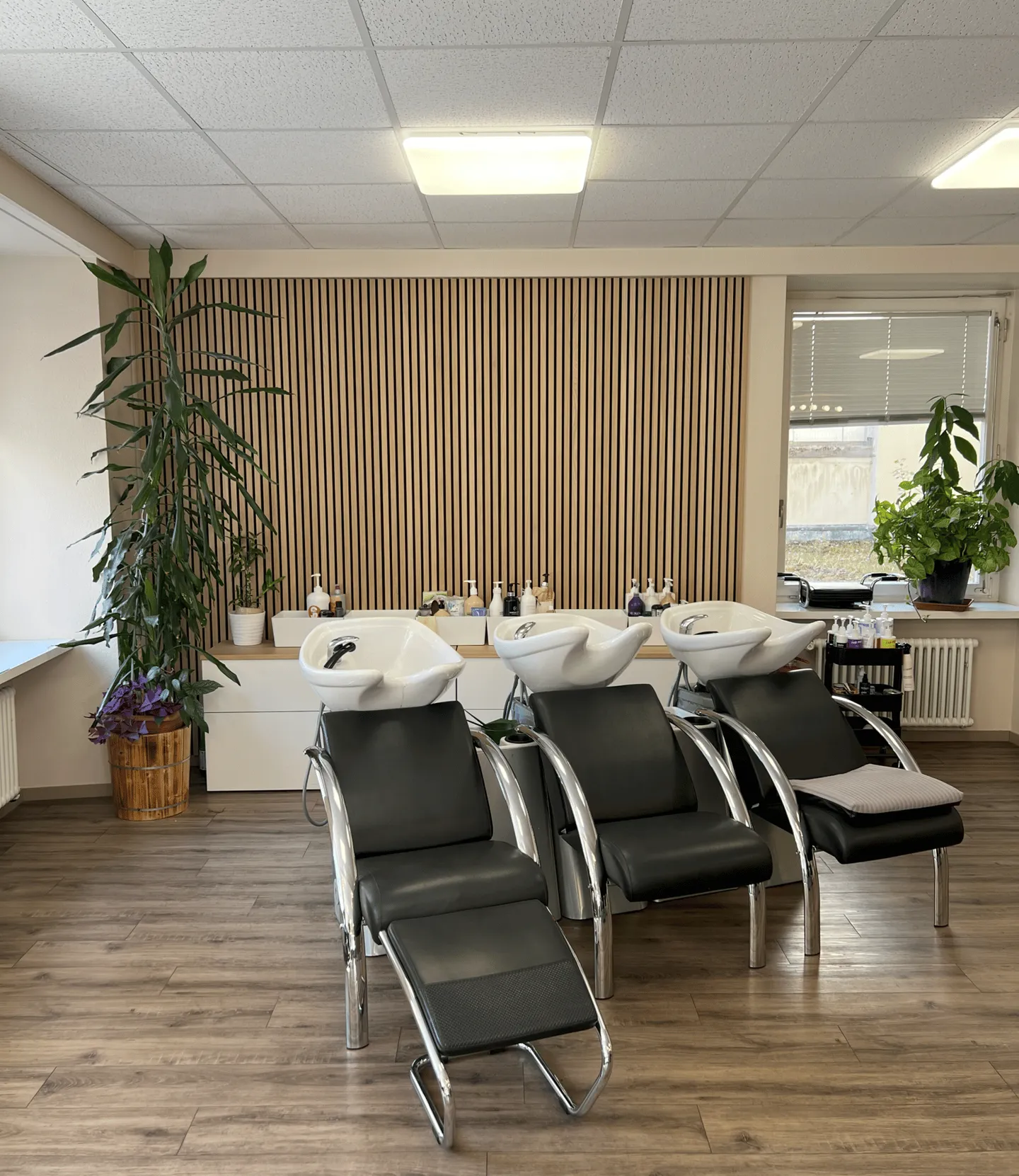 Affitto di Sedia da Parrucchiere in Salone nel Cuore di Basilea - Foto 7 di 11