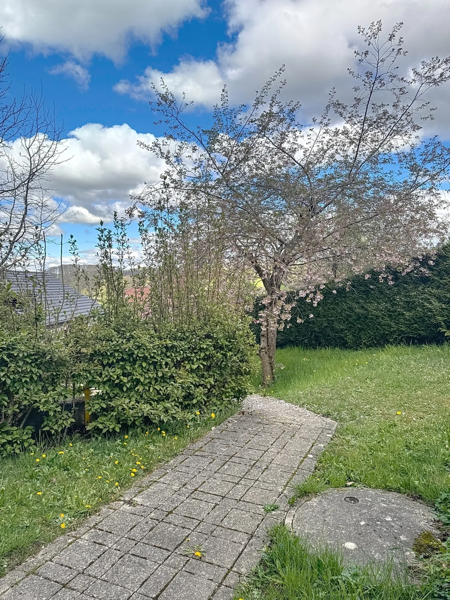 INVESTITORE SPECIALE! Appartamento di 4,5 locali con balcone - Foto 3 di 13