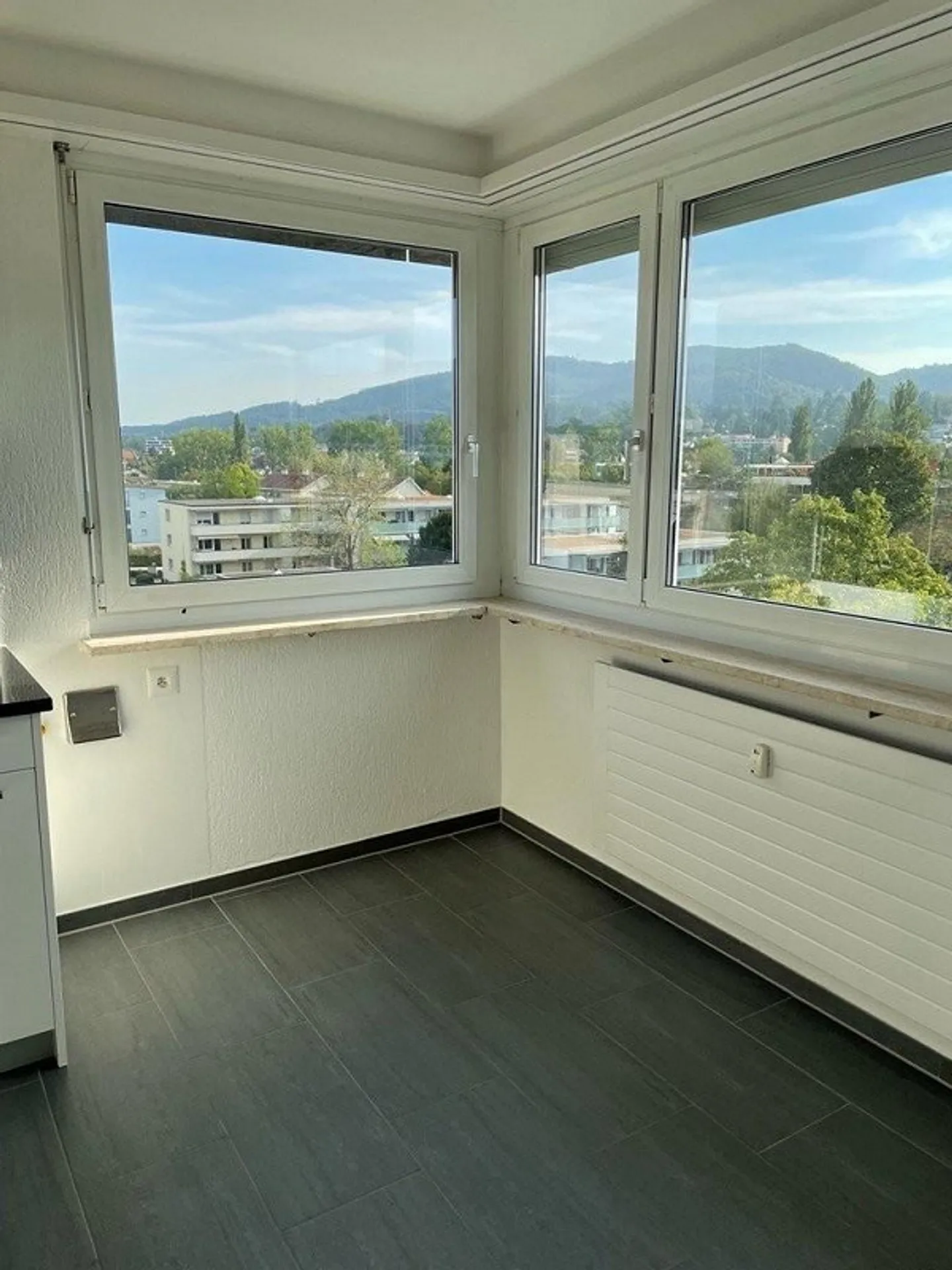 Appartement spacieux de 3,5 pièces avec vue sur Neuaesch - Photo 5 sur 11