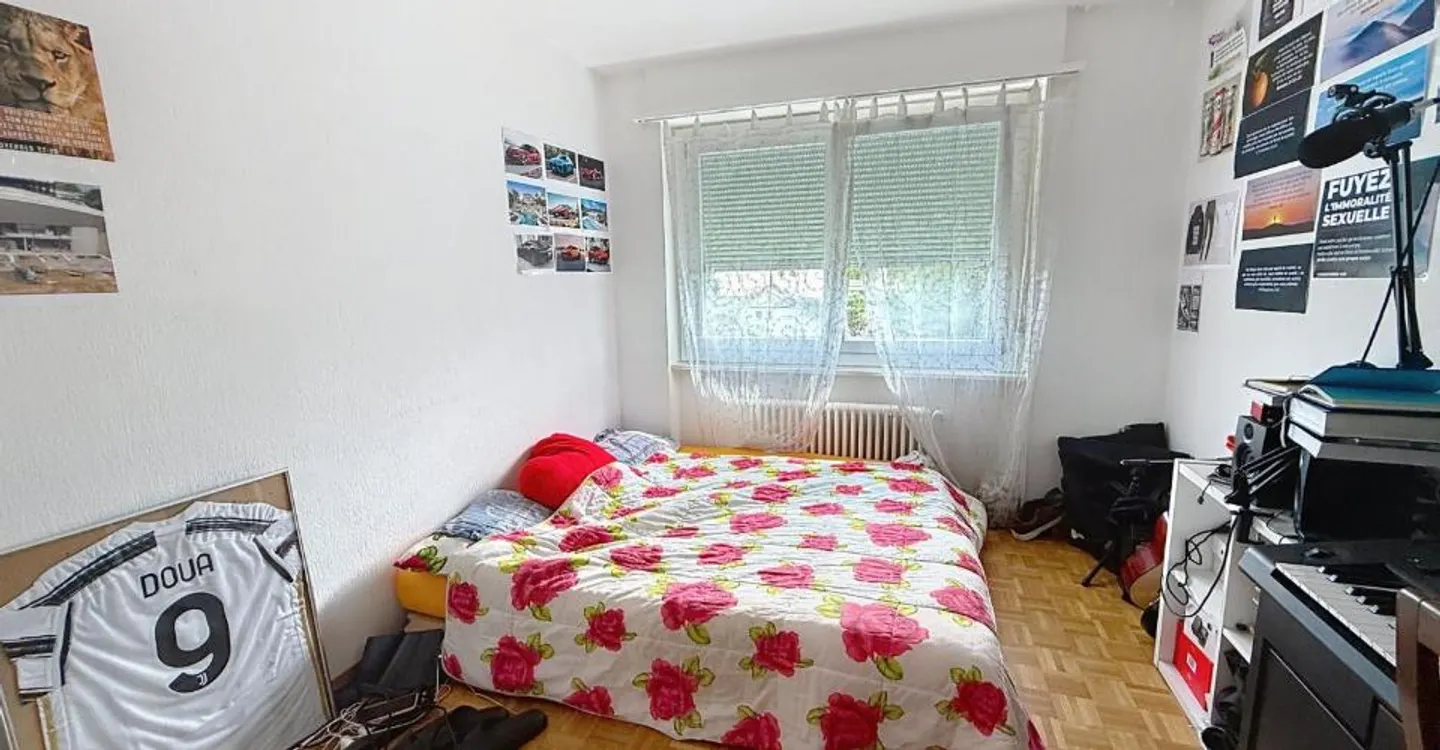 Renovated 4-Room Apartment - Photo 4 of 6