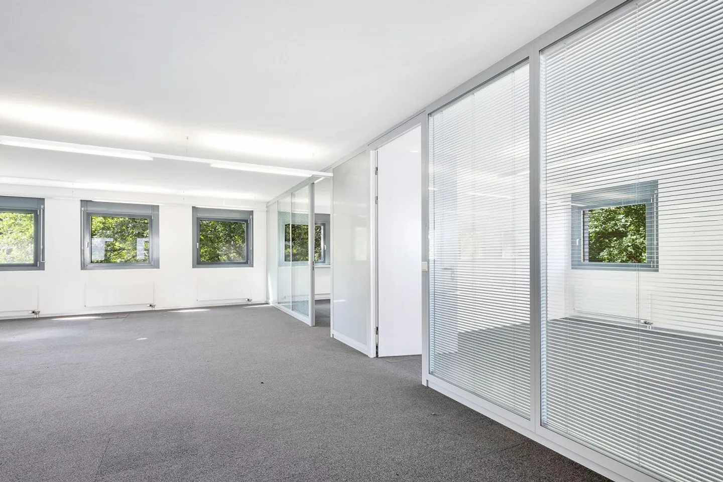 Modern office or practice space for your new location - Photo 6 of 6