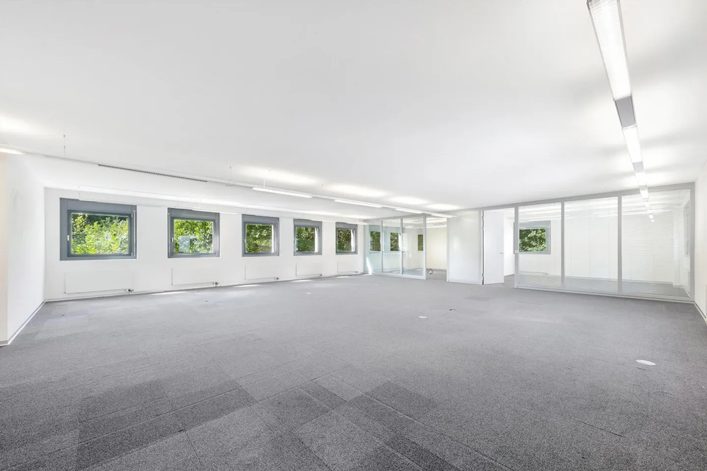 Modern office or practice space for your new location - Photo 3 of 6