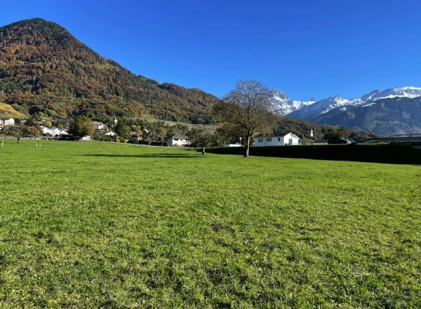 Terreno edificabile (Zona periferica 2000) - Foto 3 di 6