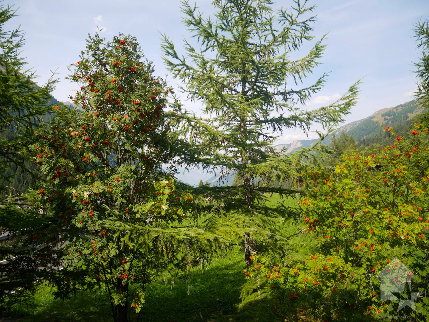 Large family chalet 2 minutes from La Fouly! - Photo 6 of 11