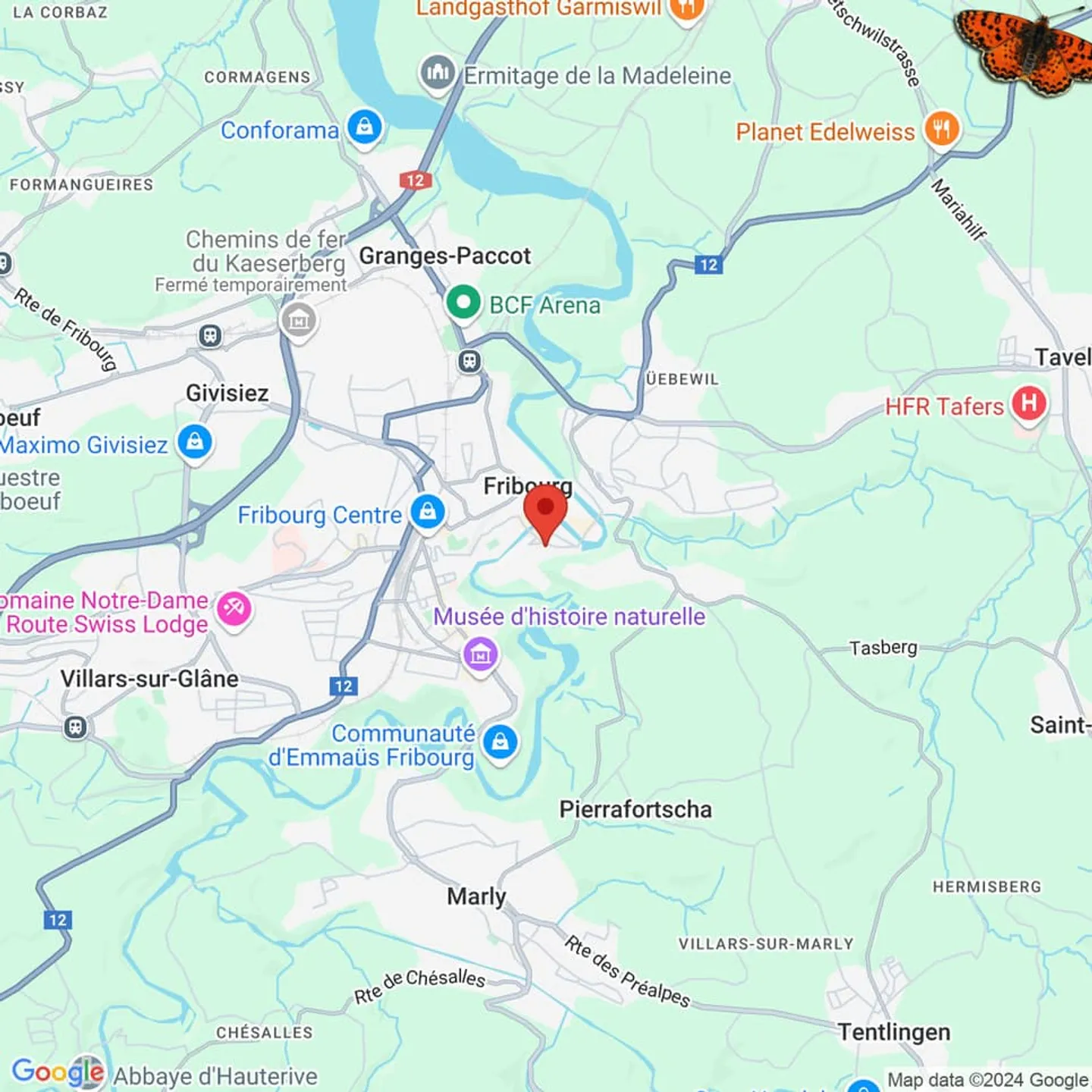 Premier loyer net offert ! - Votre futur bureau rénové en basse ville - Photo 6 sur 6