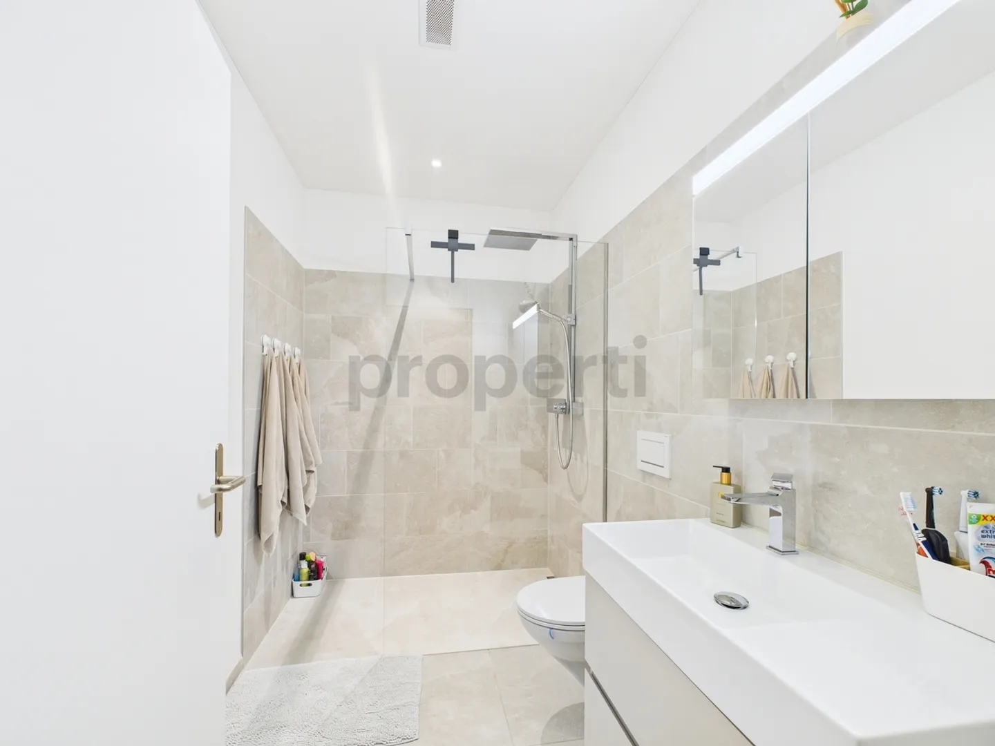 Dream Home in Emmen, Canton LU - Photo 11 of 12