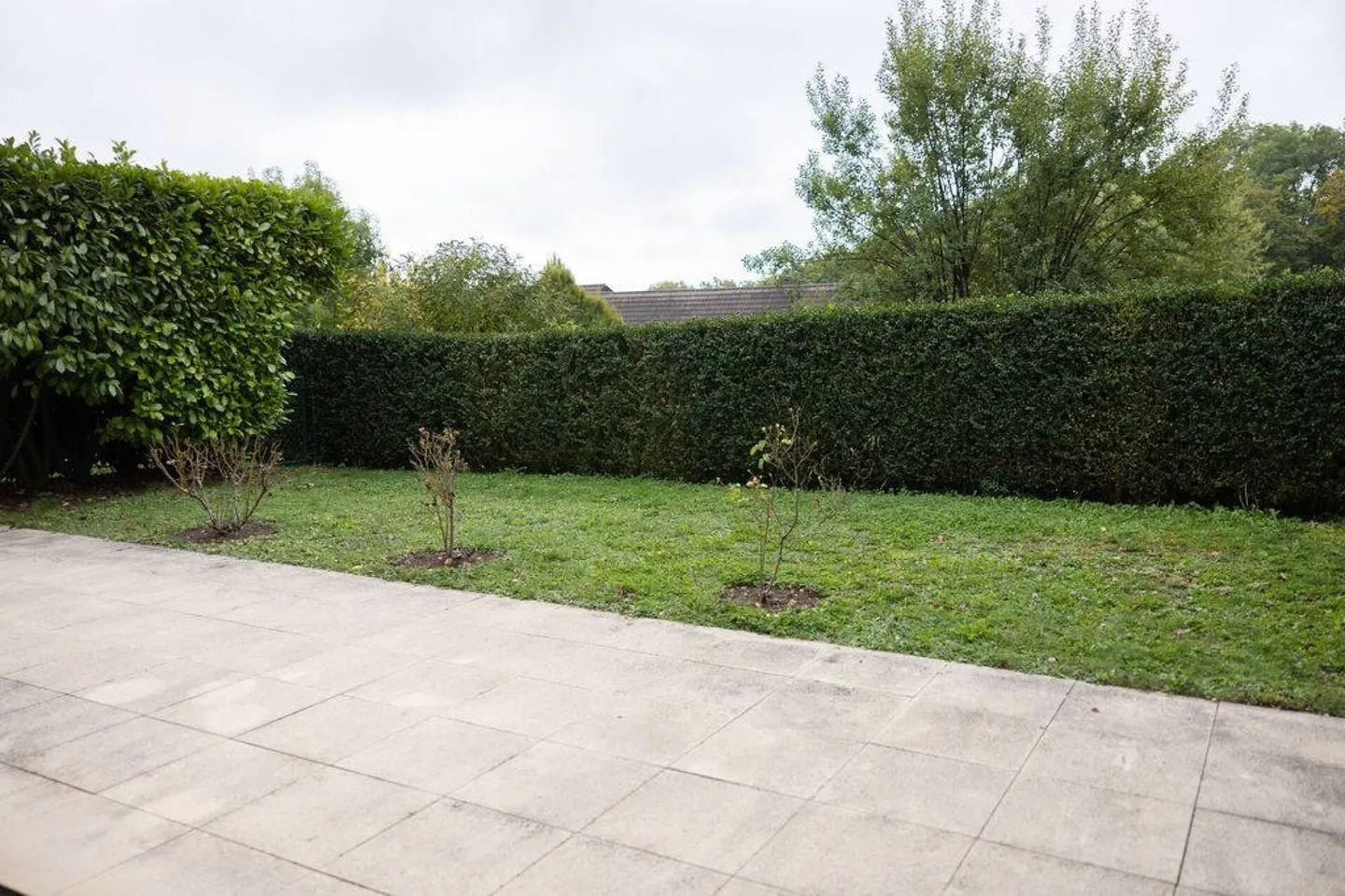 Apartment 2.5 rooms in Chexbres - Photo 7 of 7