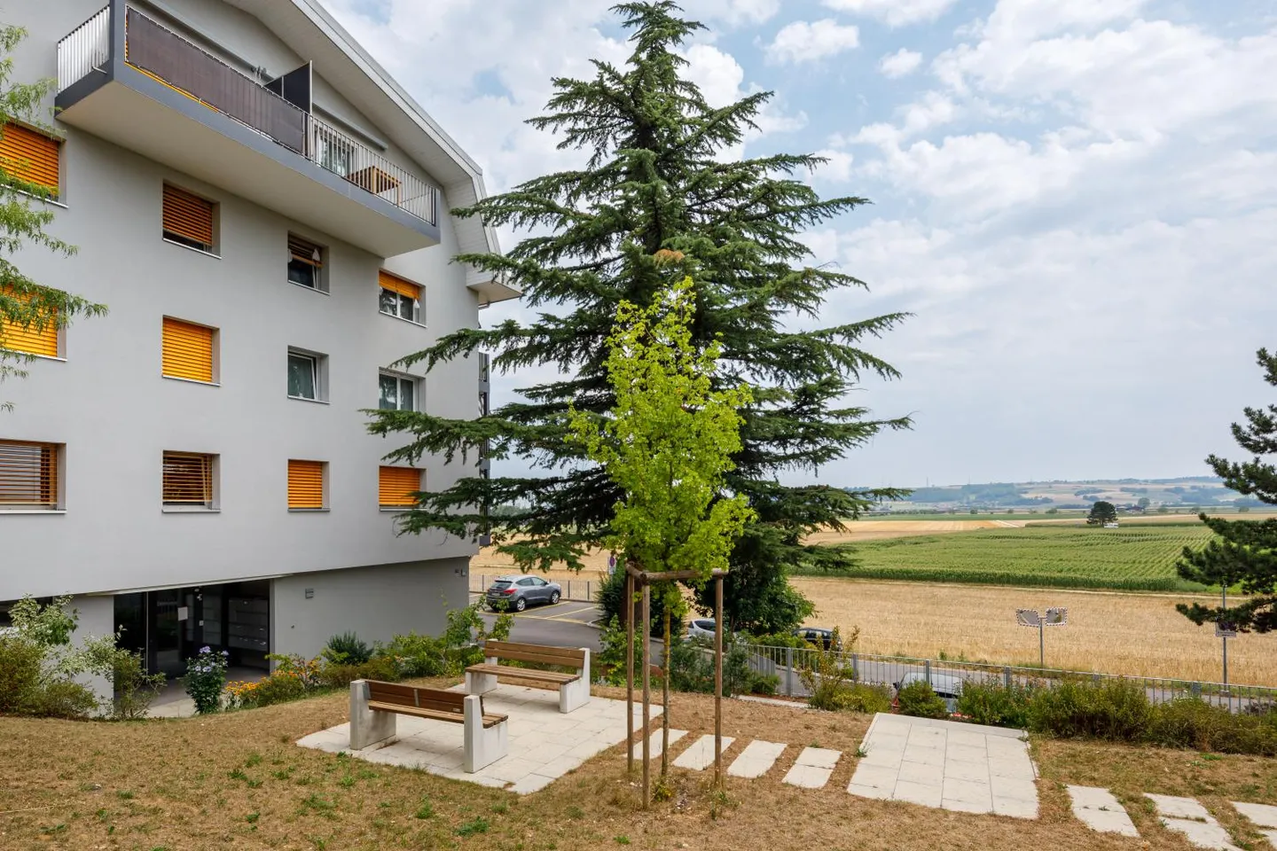 3,5-Zimmer-Wohnung - Foto 4 von 5