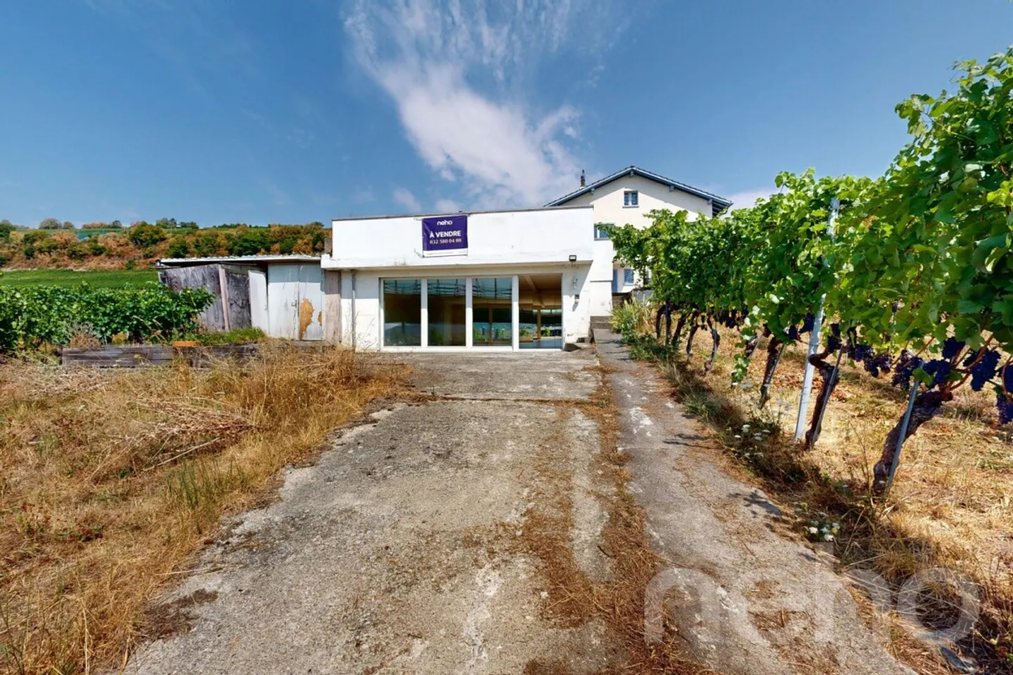 Maison Charmante avec Vignes - Photo 7 sur 12