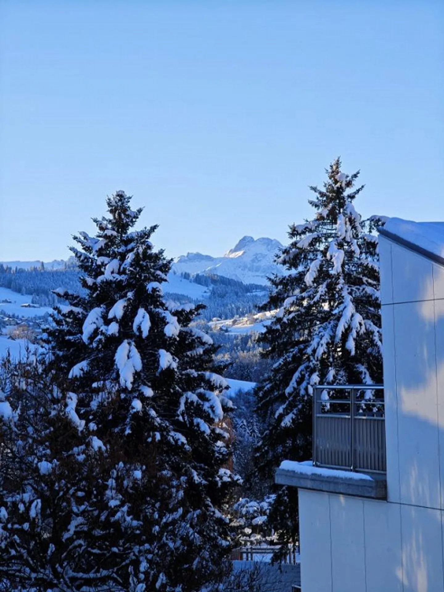 Appartement lumineux avec terrasse et vue magnifique jusqu'au Säntis - Photo 13 sur 13