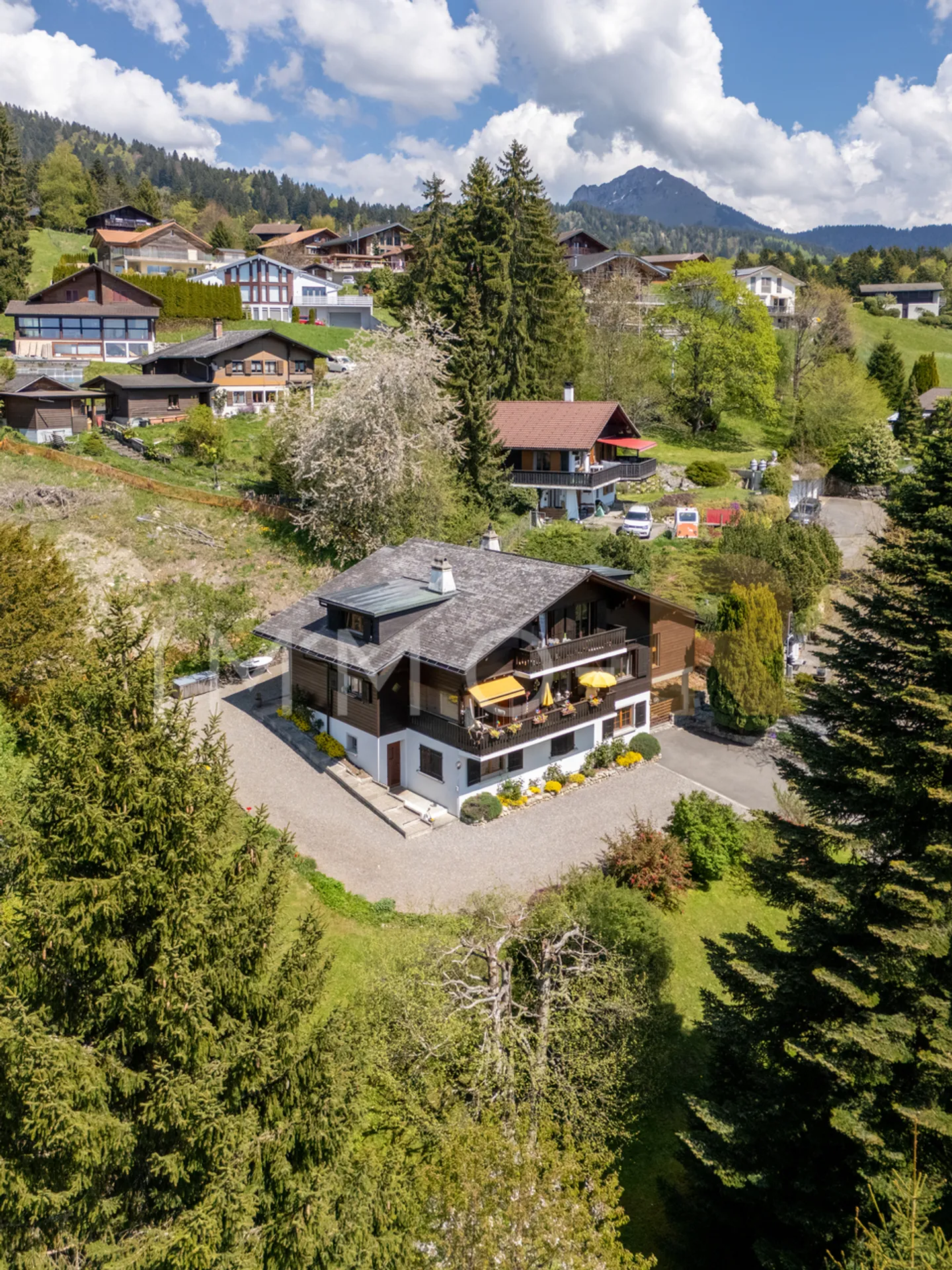 Charming 5.5-room apartment in a chalet - Photo 3 of 11