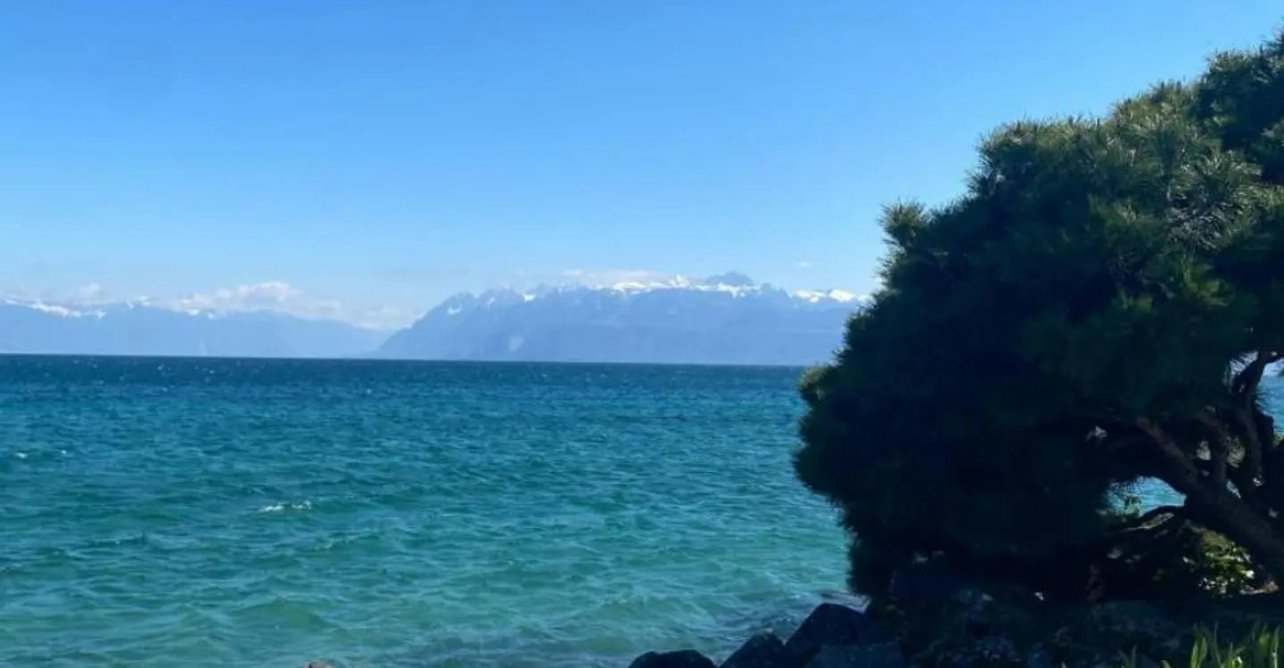 Villa Mitoyenne d'Exception - Photo 10 sur 12
