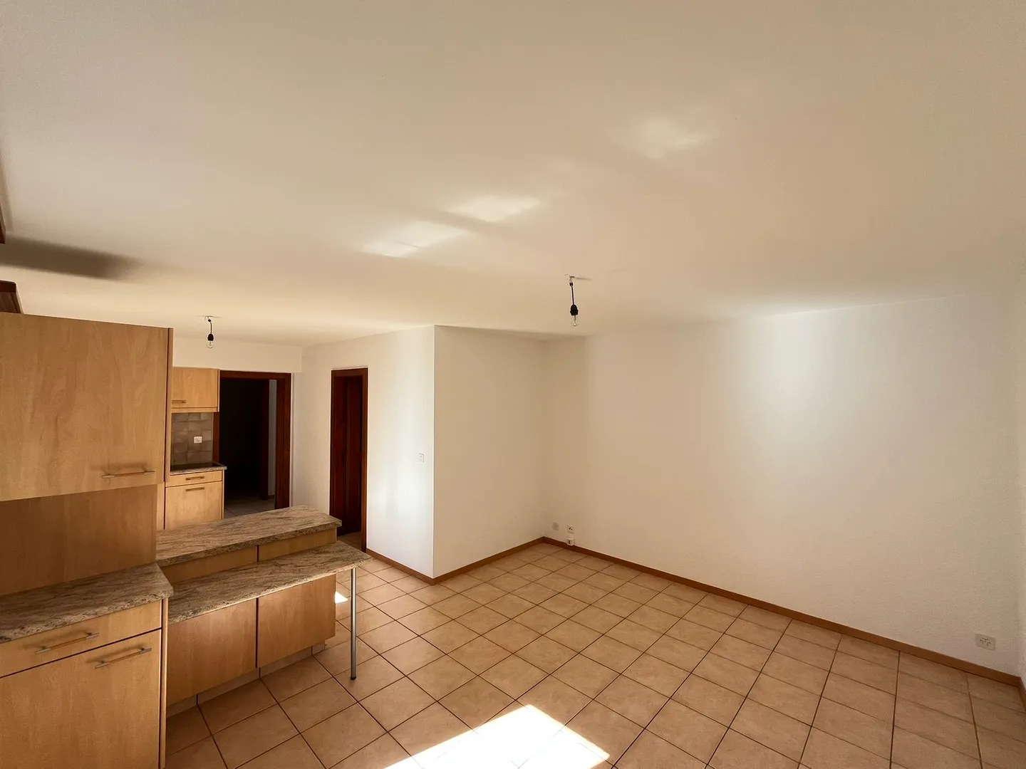 Villa / 2 Appartements / 1'735 m3 und Grundstück 1'073 m2 / EXKLUSIVITÄT - Foto 9 von 9