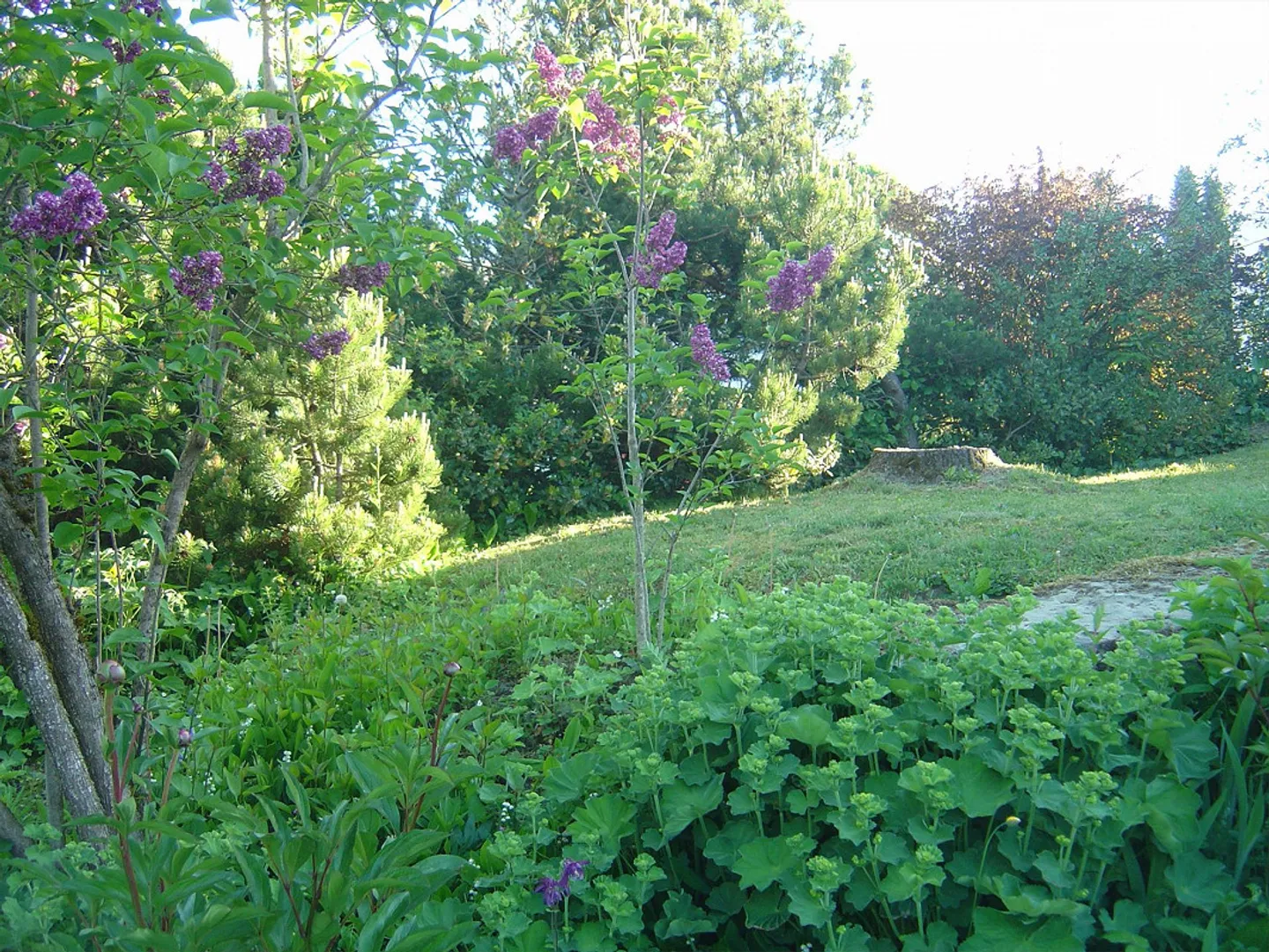 Maison individuelle avec vue de rêve - Photo 12 sur 15